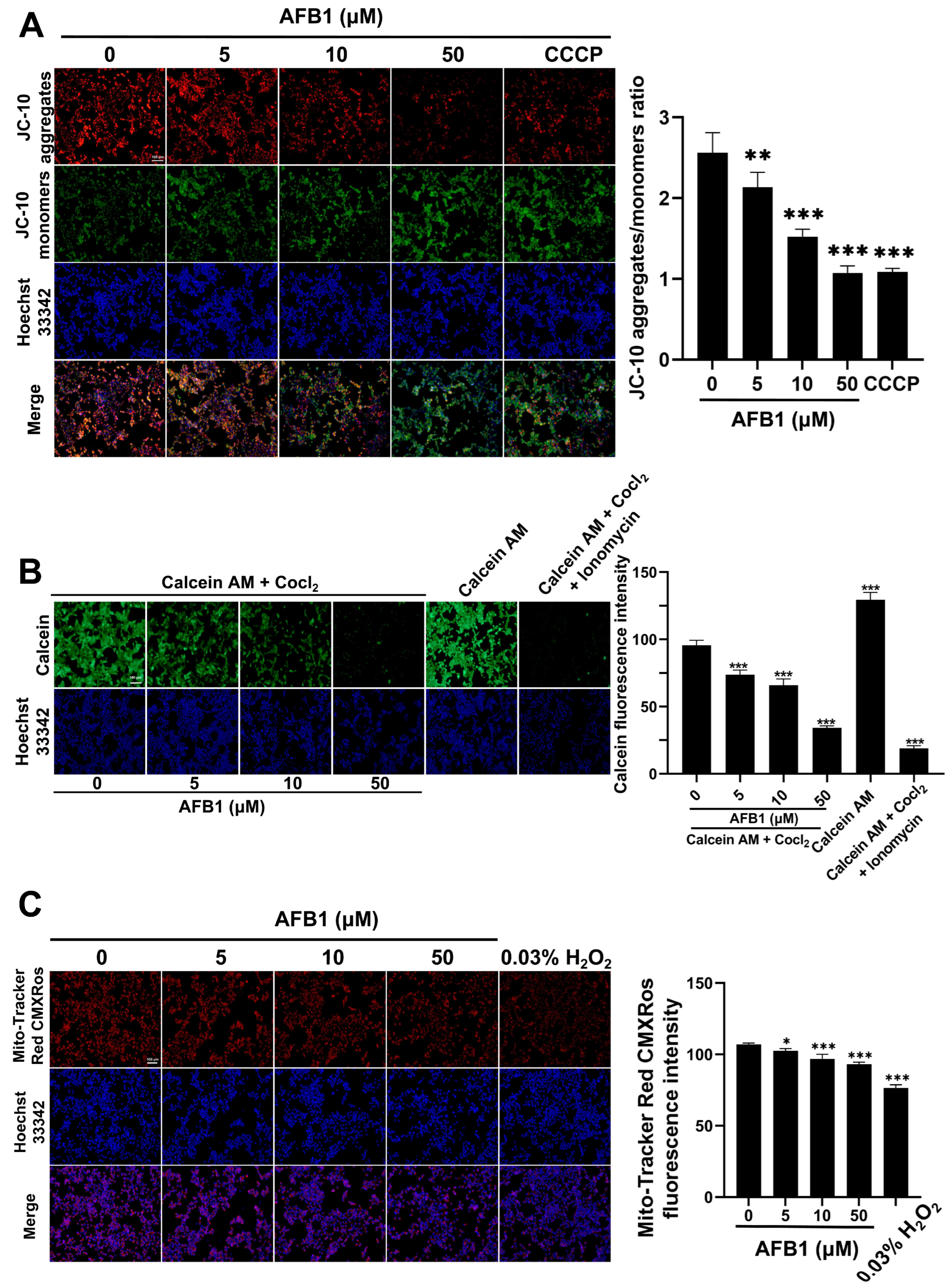 Toxins 16 00375 g010