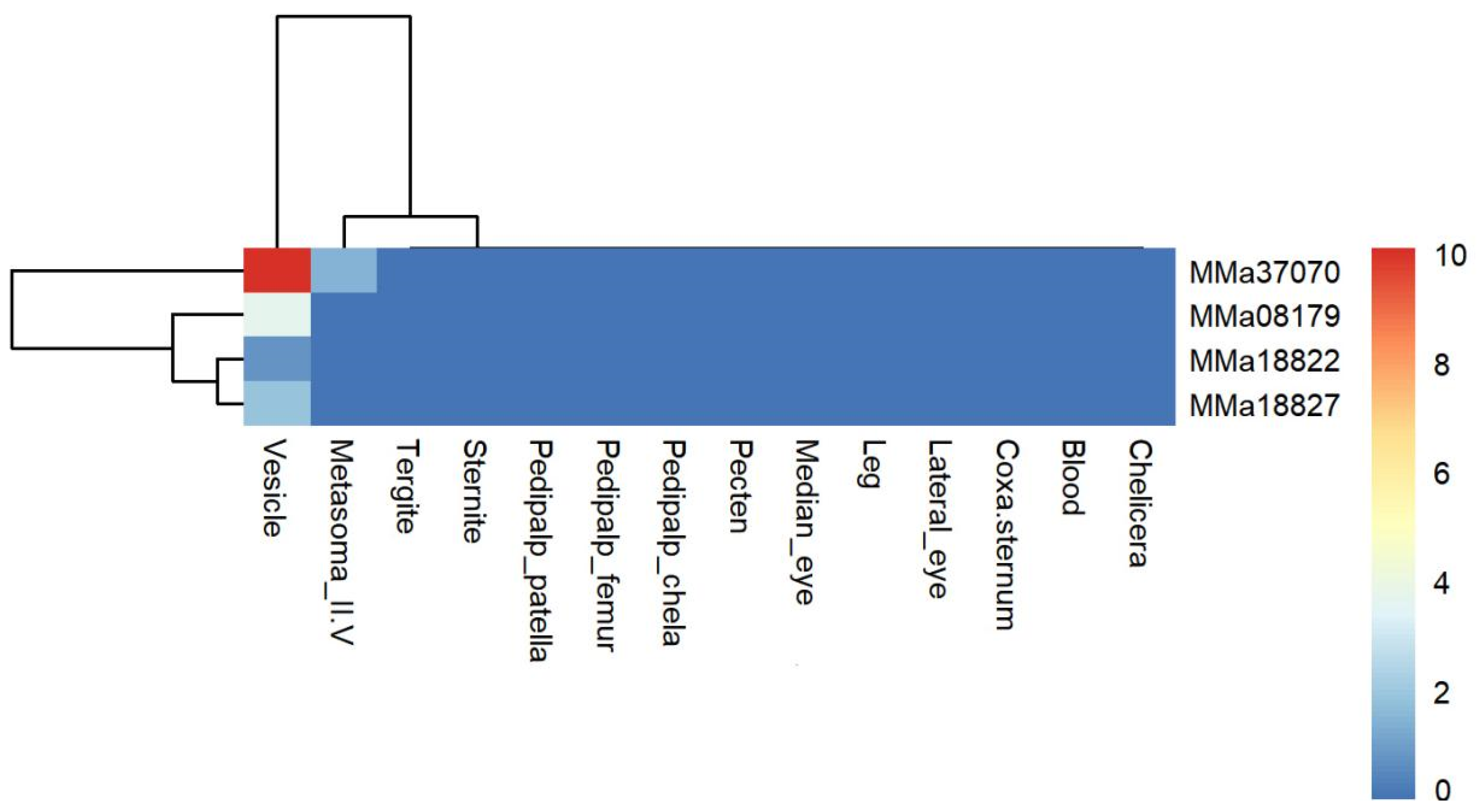 Toxins 16 00399 g004