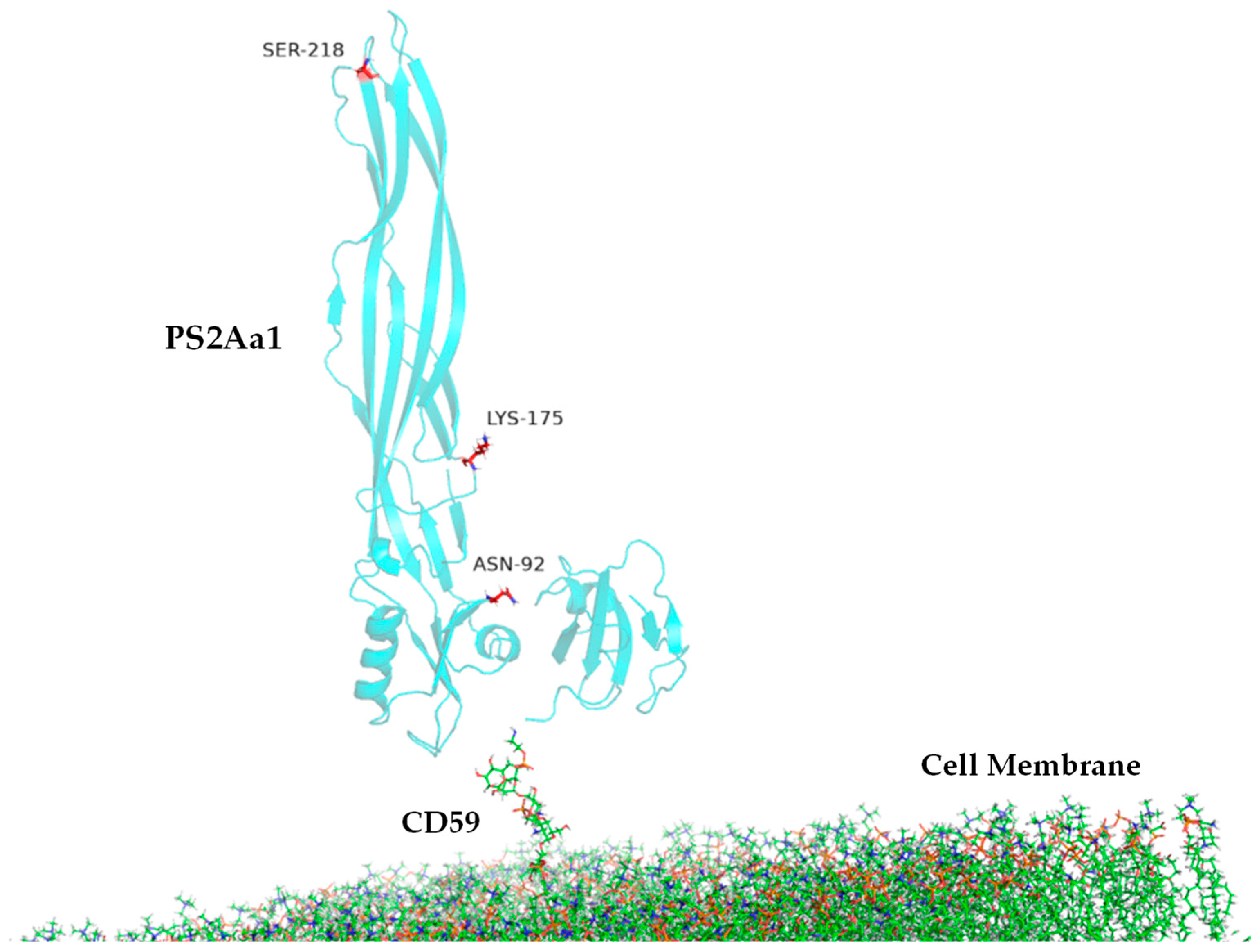 Toxins 16 00415 g011