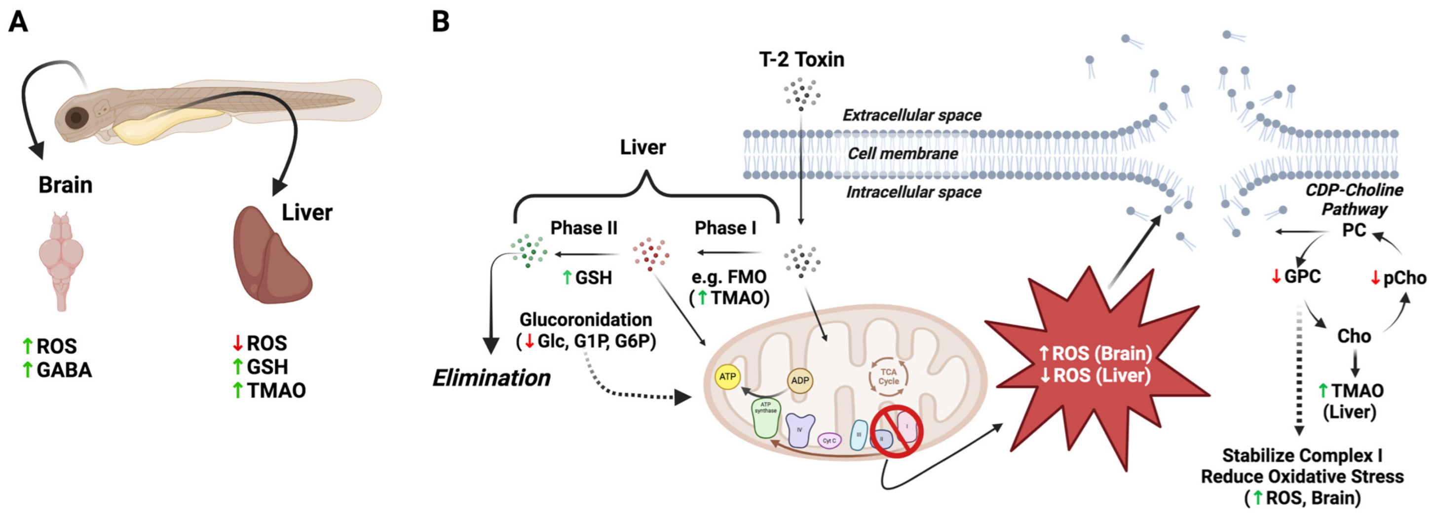 Toxins 16 00424 g006