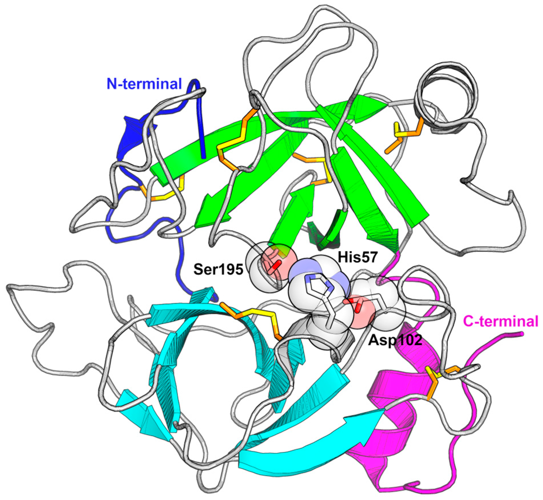 Toxins 16 00428 g004