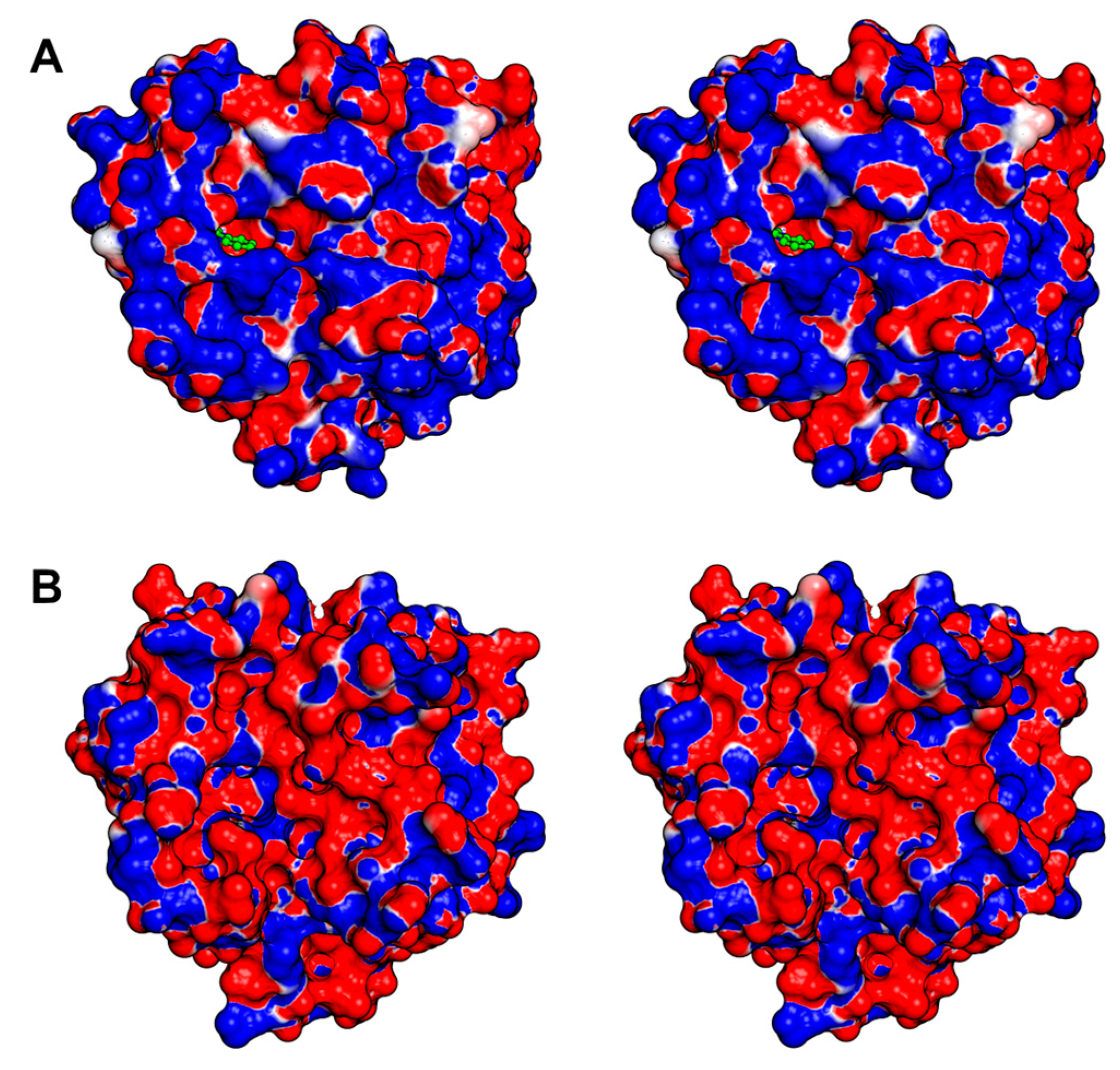 Toxins 16 00428 g006