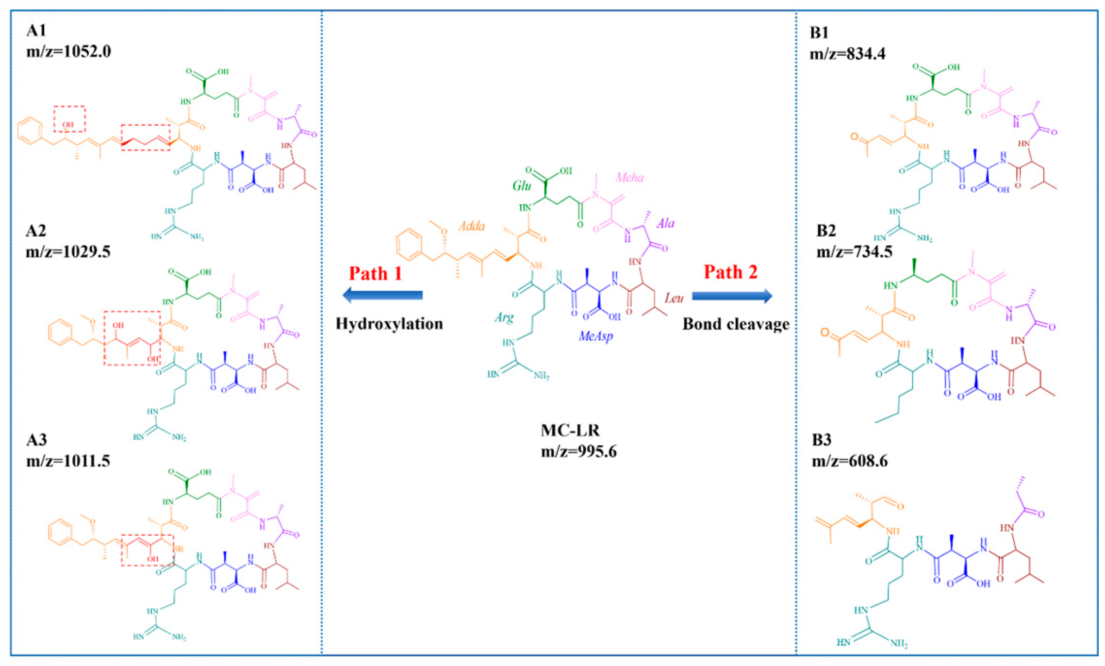 Toxins 16 00455 g007