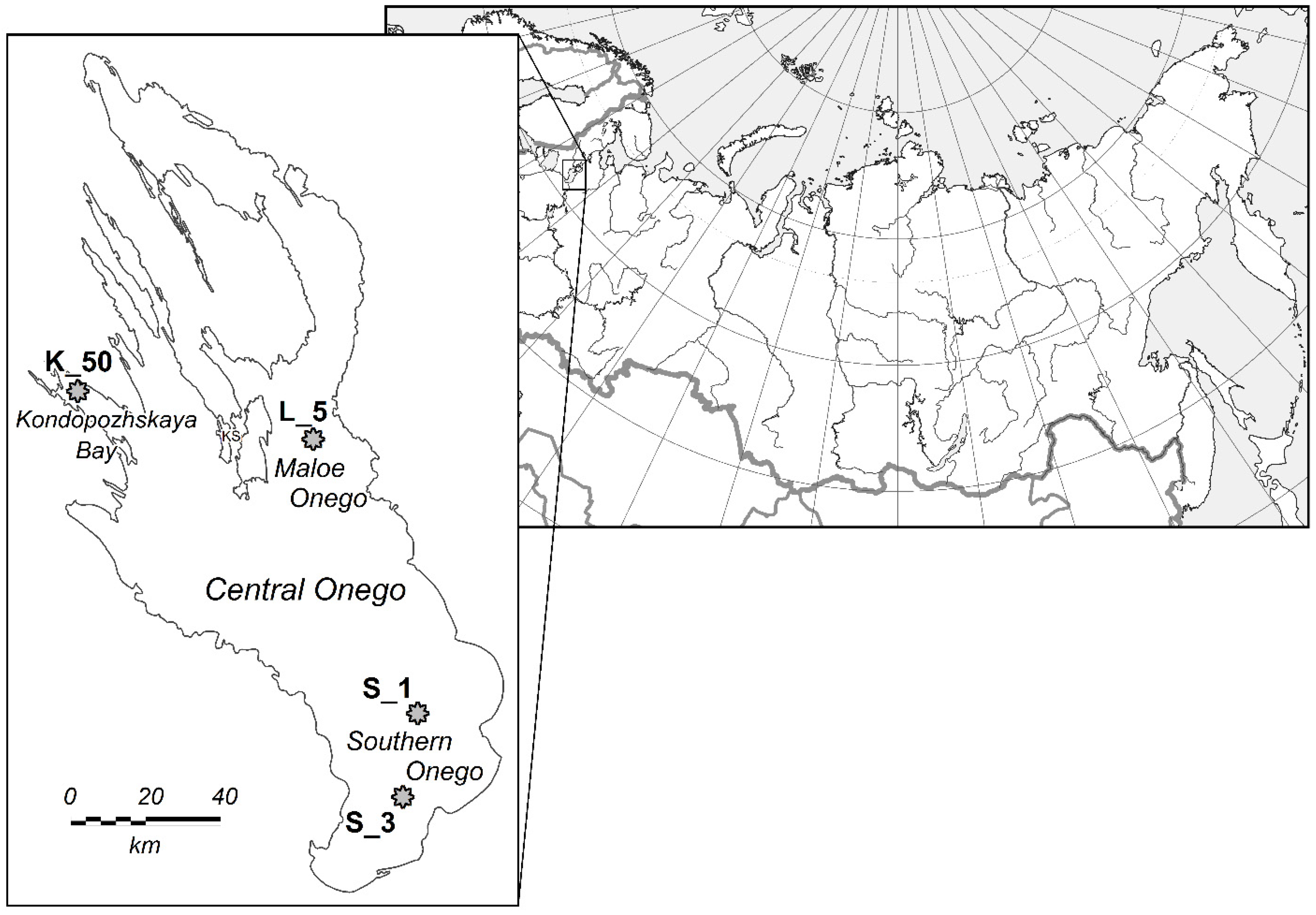 Toxins 16 00457 g004