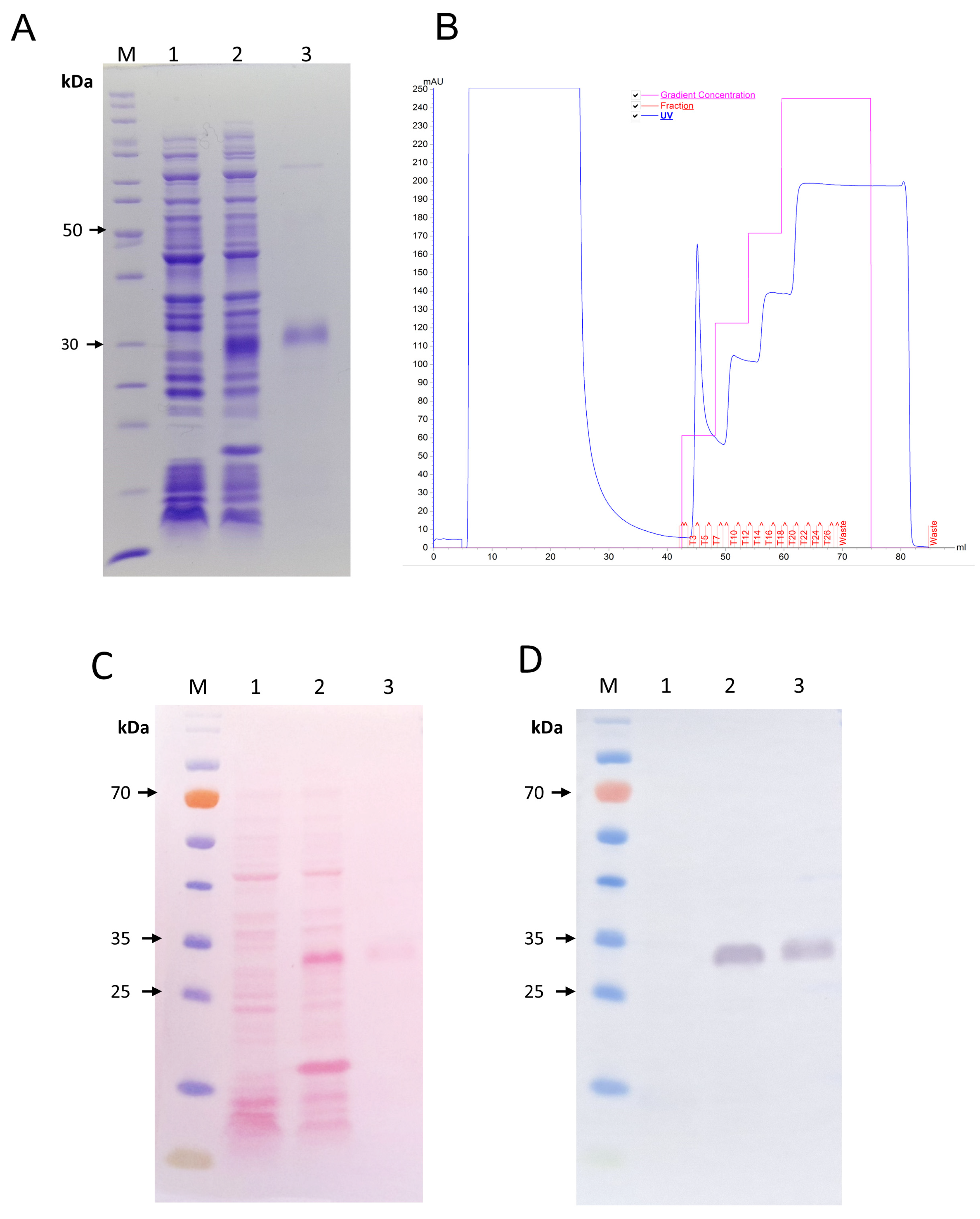 Toxins 16 00524 g001