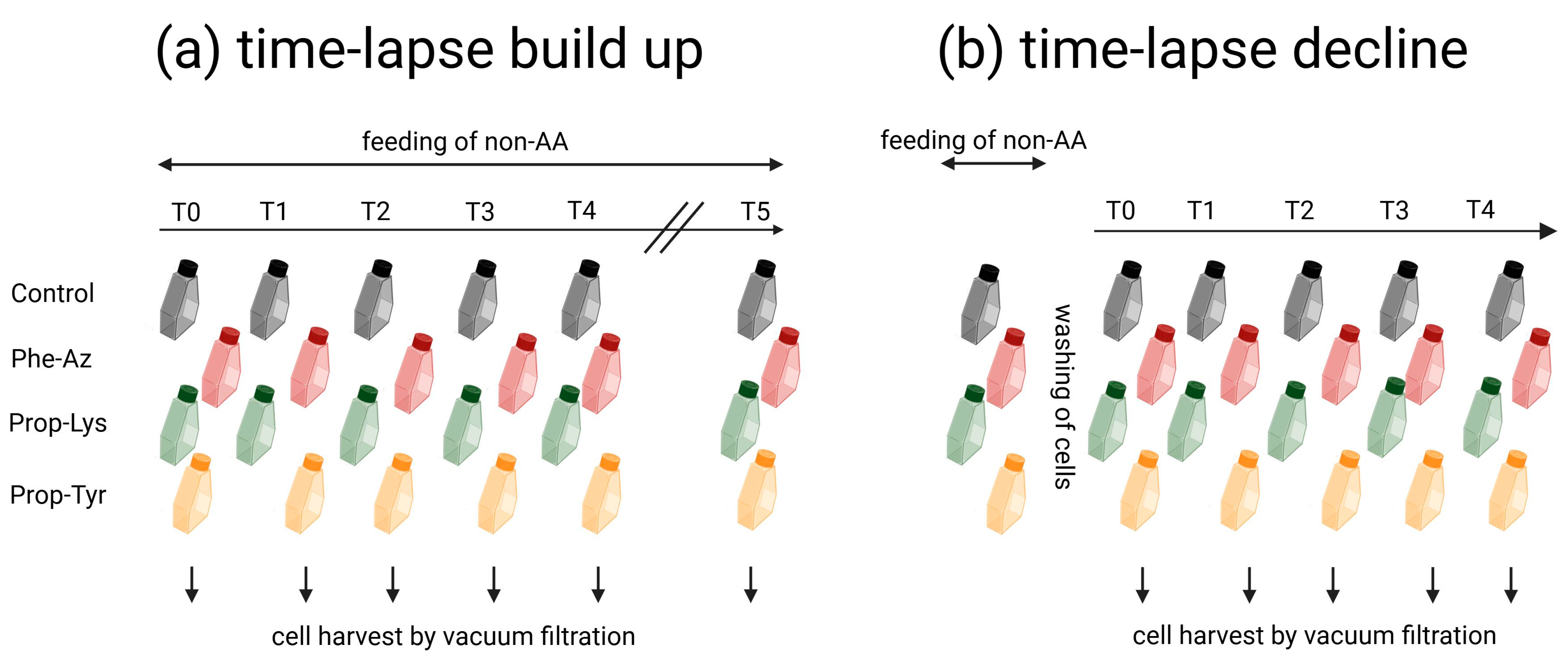 Toxins 16 00526 g005