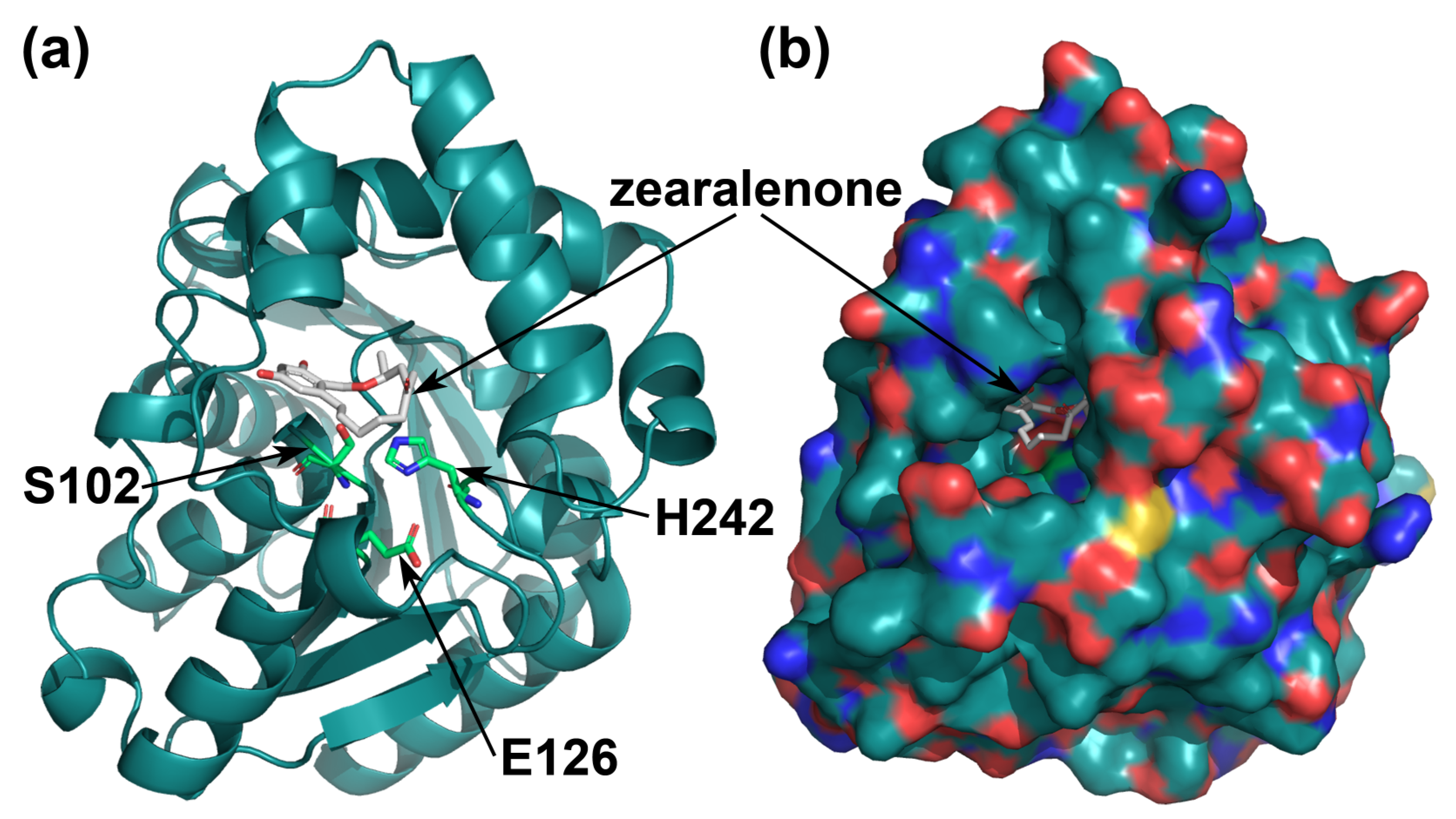 Toxins 16 00540 g001