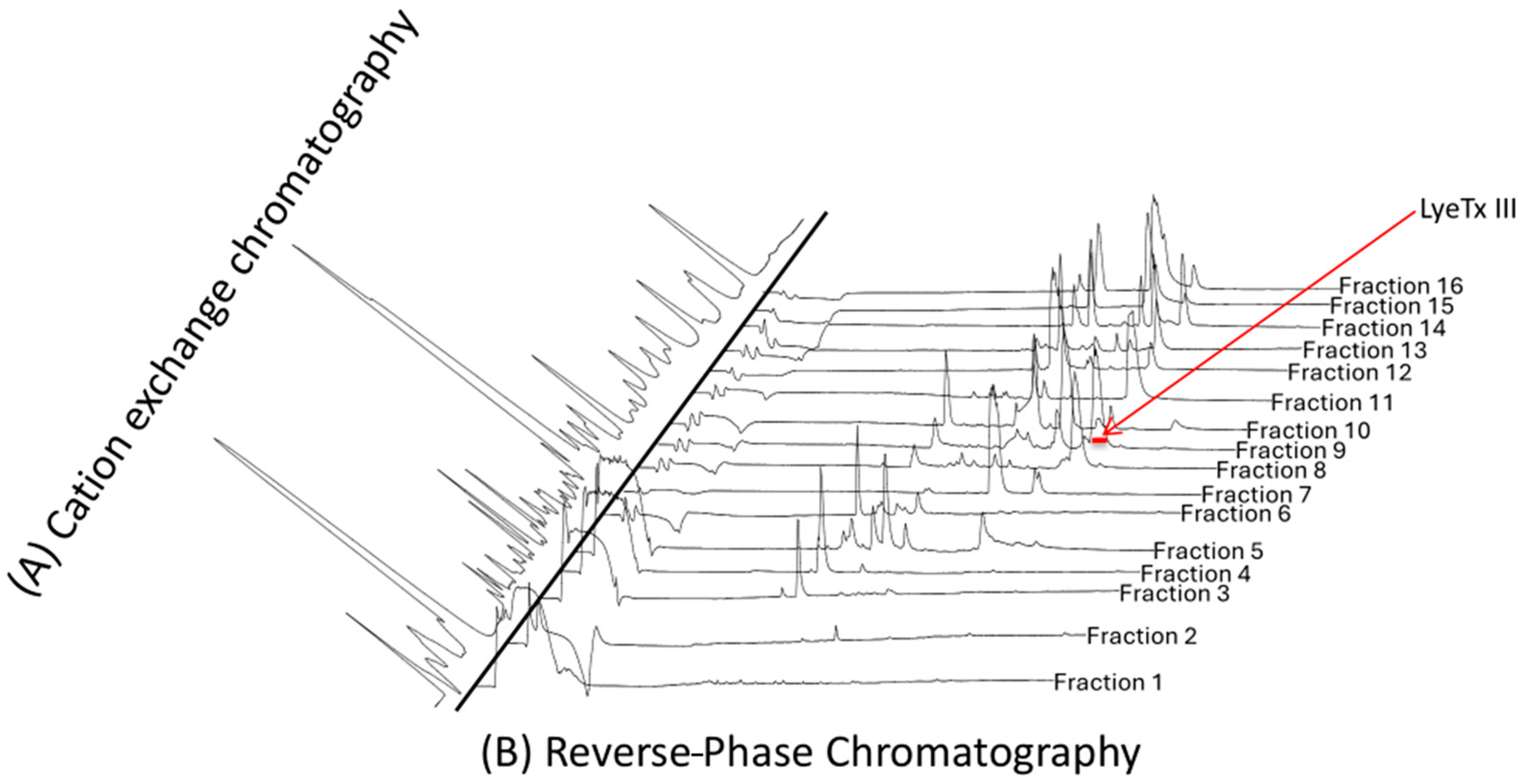 Toxins 17 00032 g001