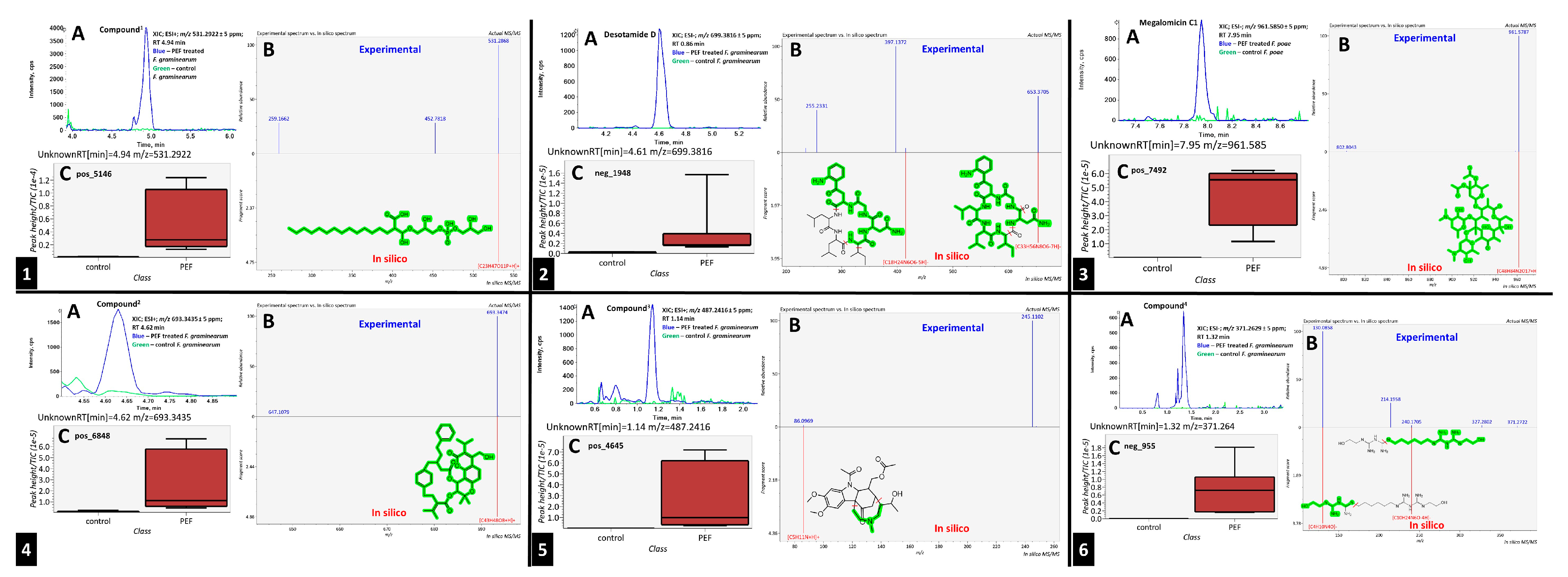 Toxins 17 00033 g004