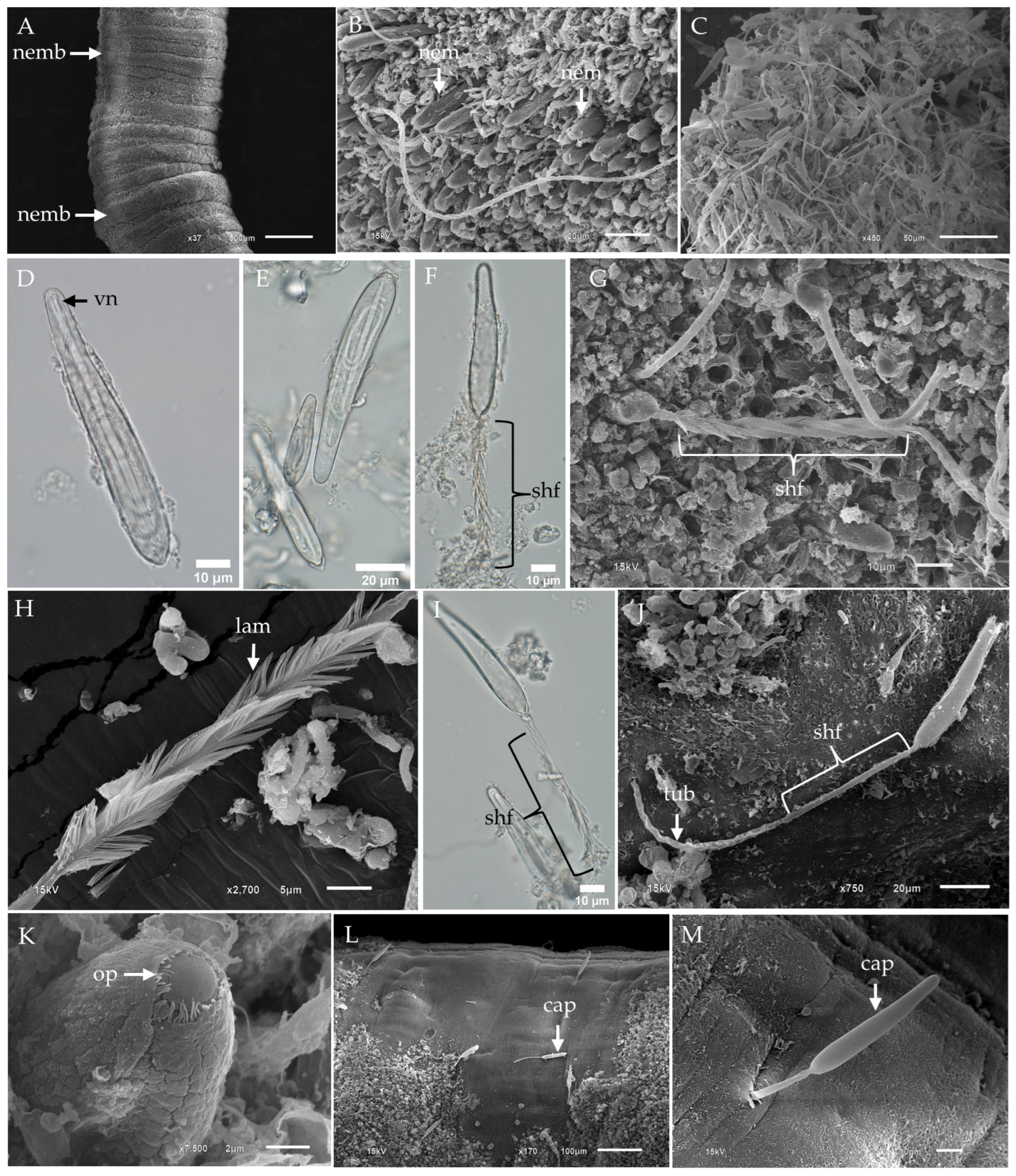 Toxins 17 00044 g001