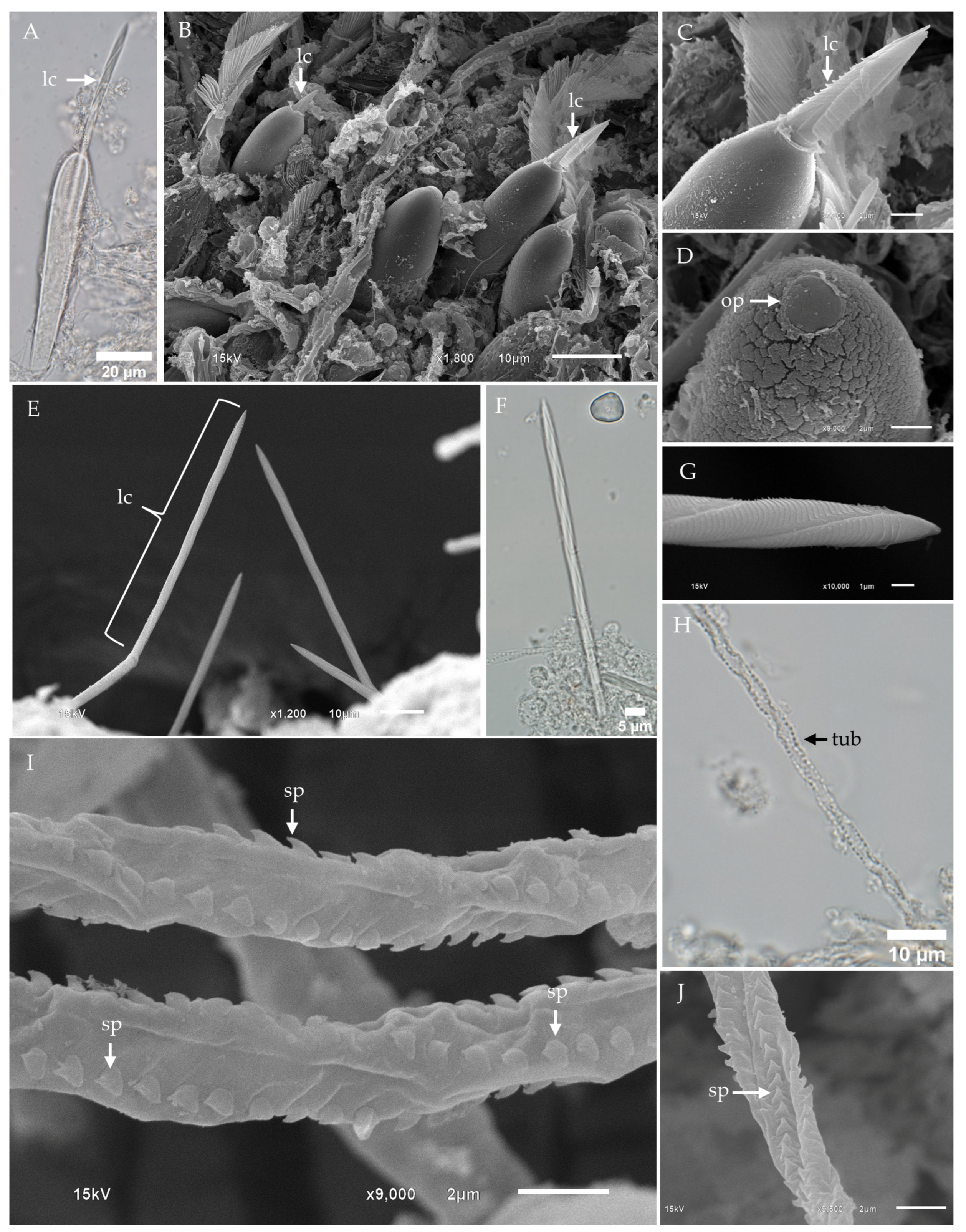 Toxins 17 00044 g005