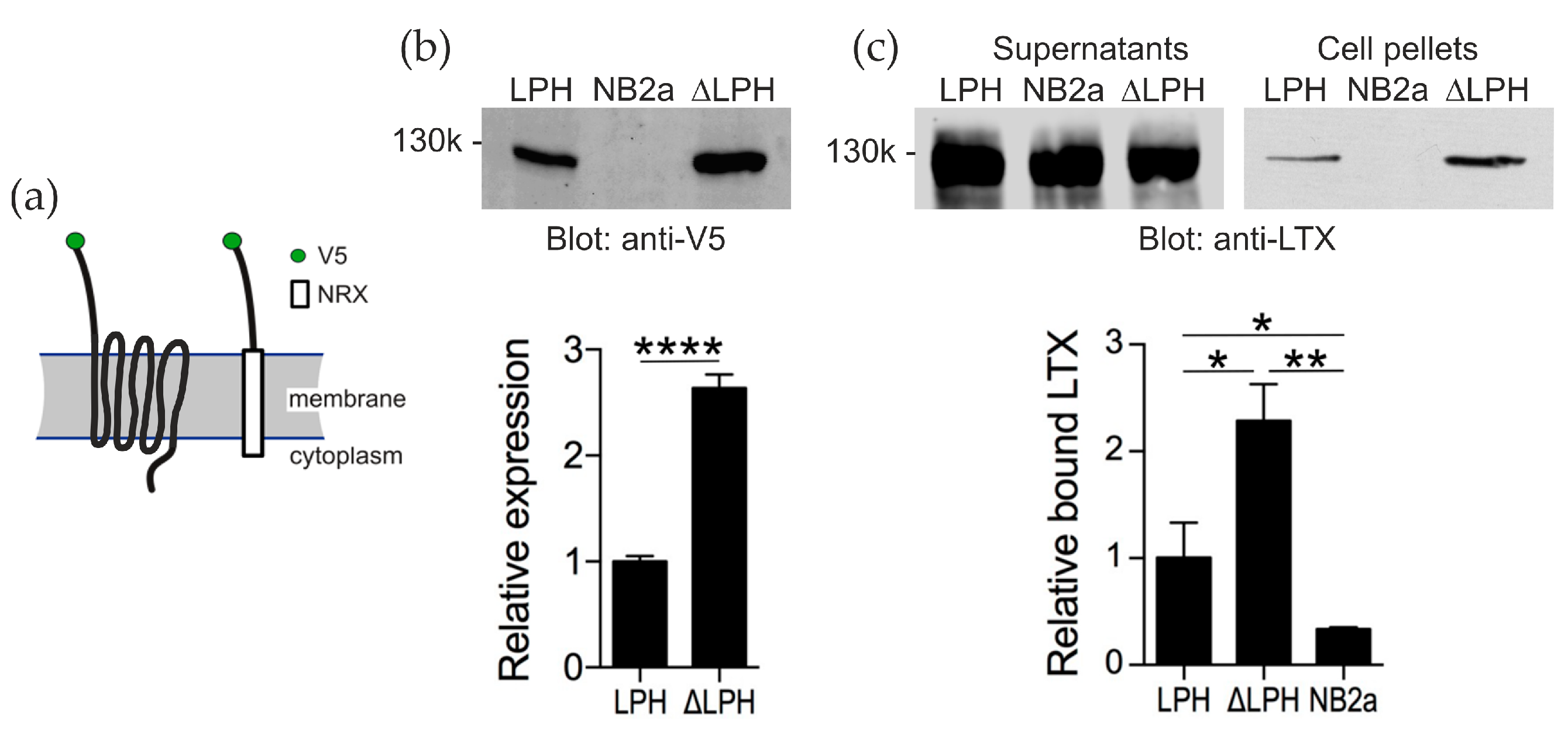 Toxins 17 00073 g003