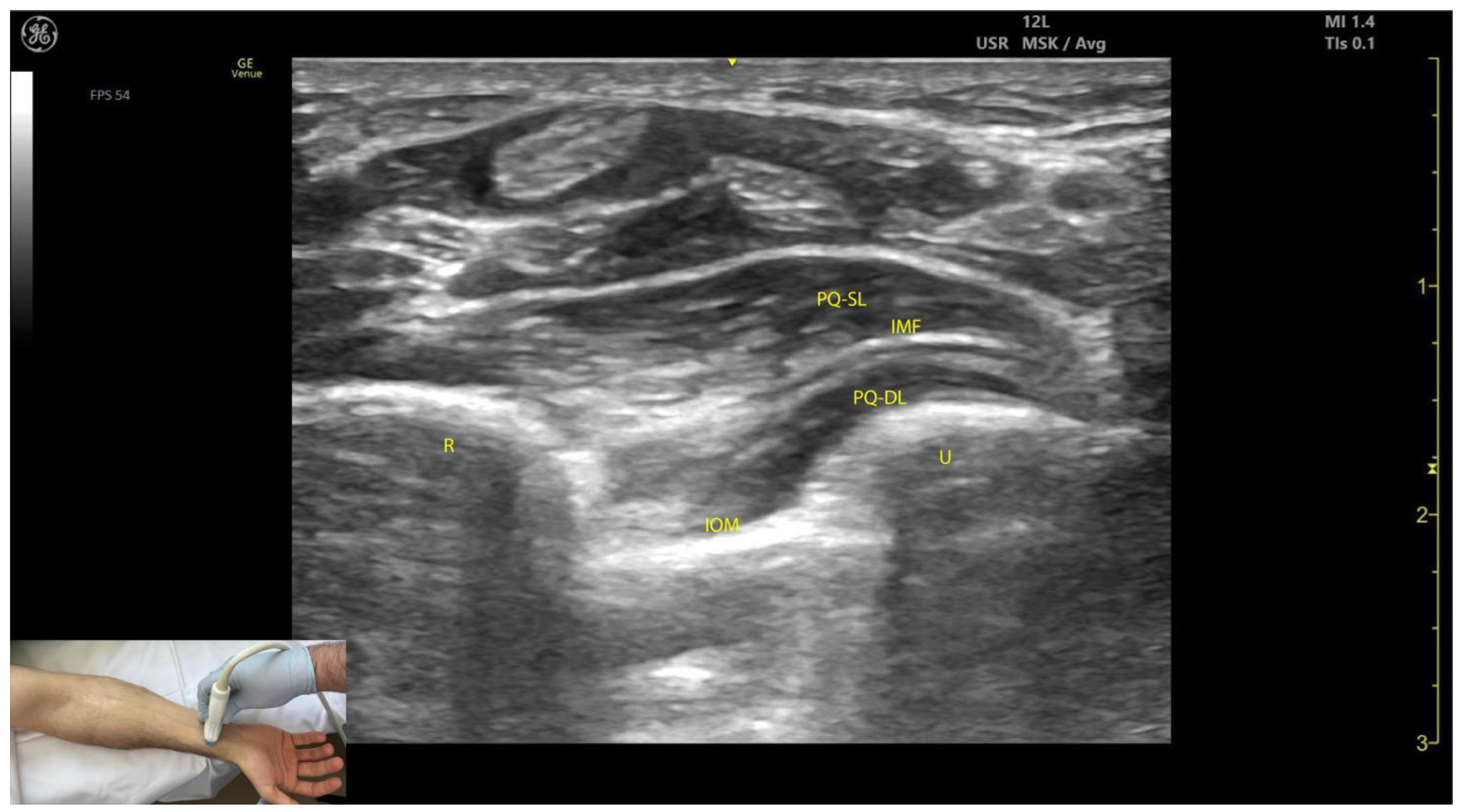 Toxins 17 00107 g007
