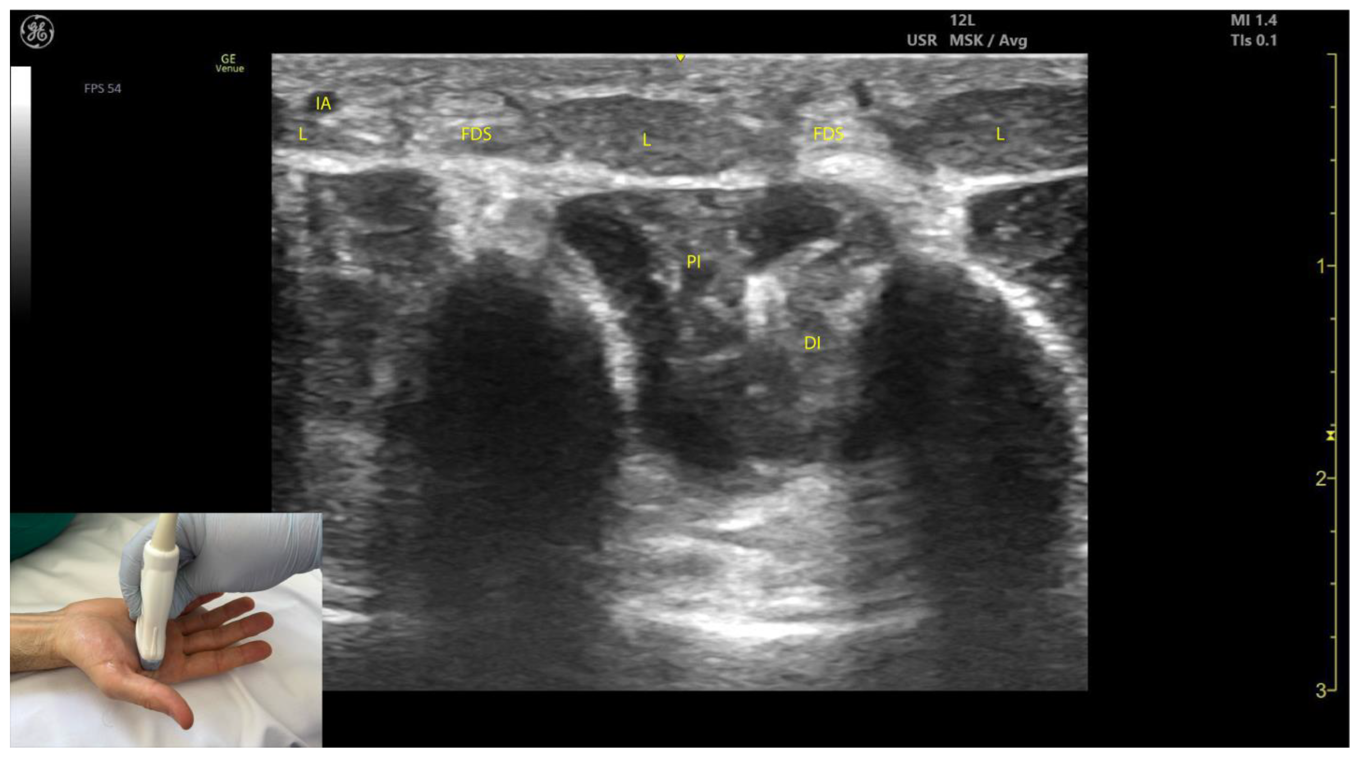 Toxins 17 00107 g012