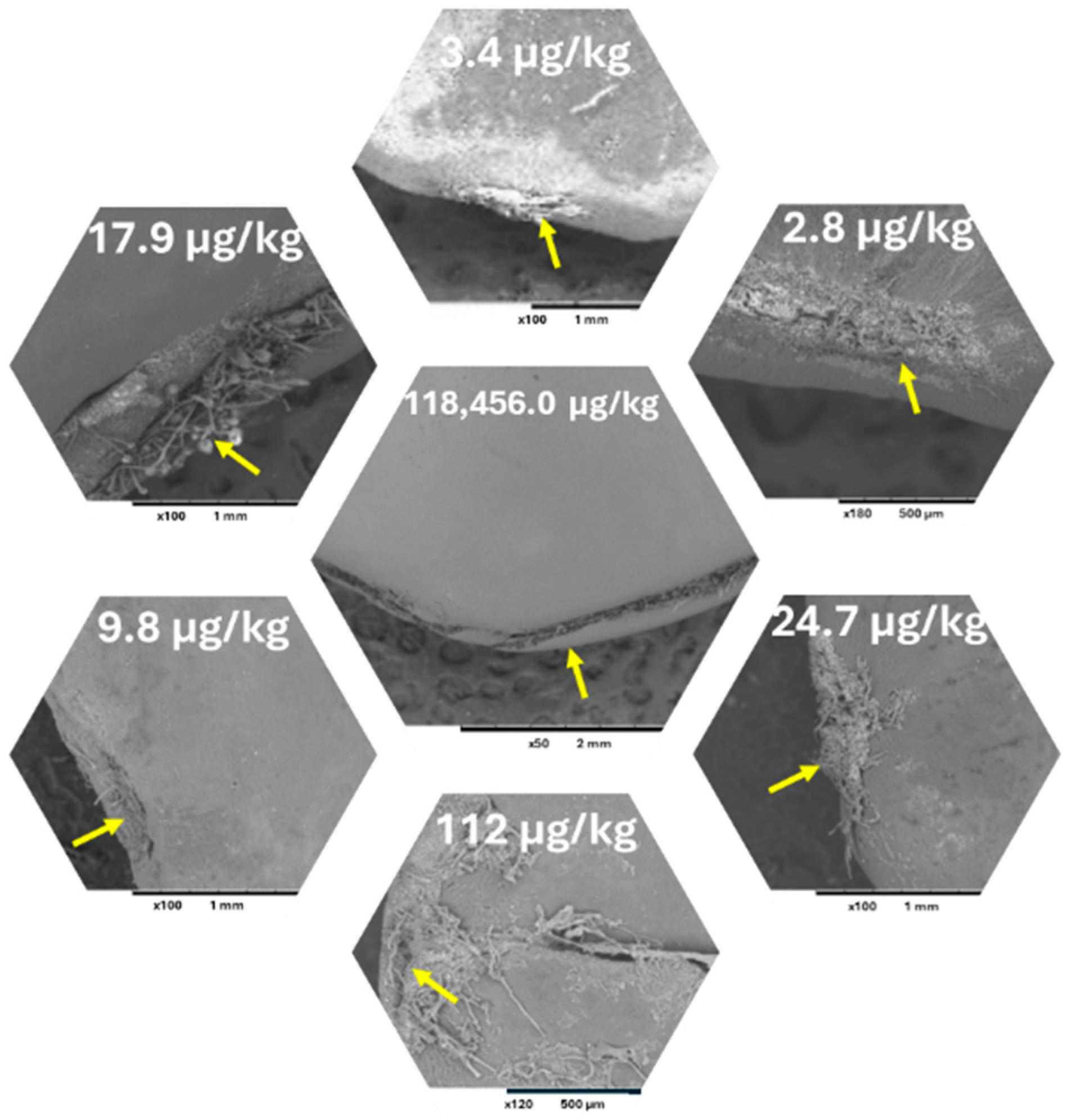 Toxins 17 00139 g006