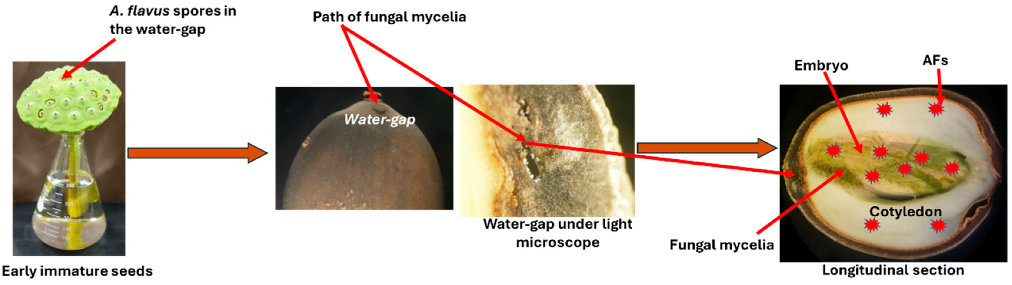 Toxins 17 00139 g009