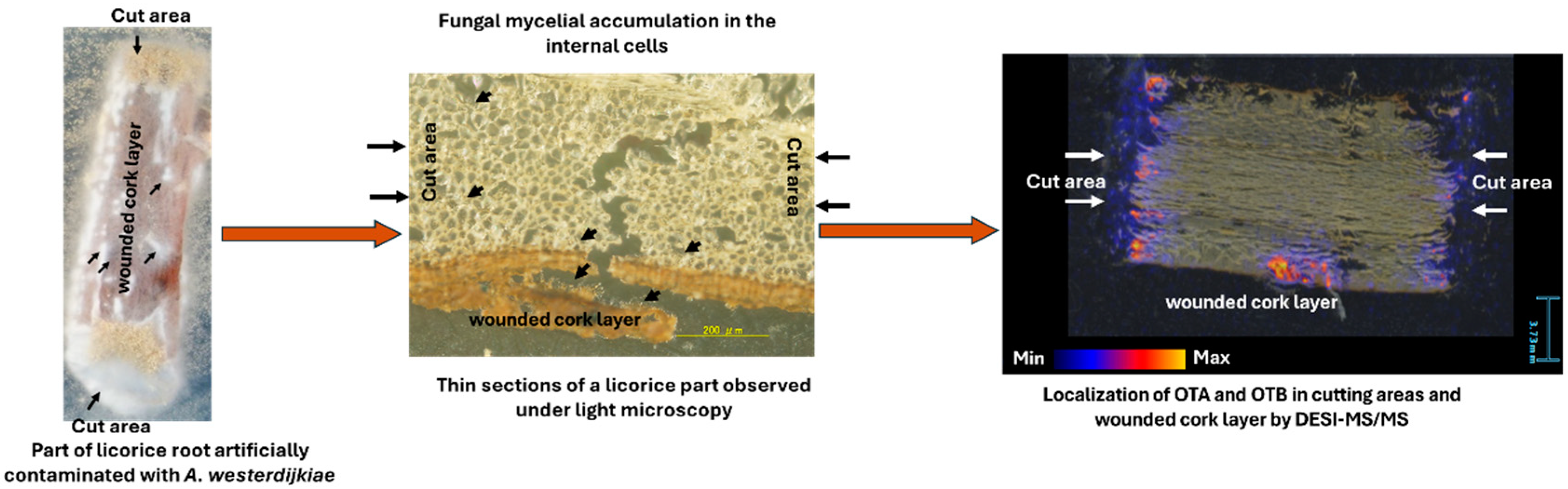 Toxins 17 00139 g010
