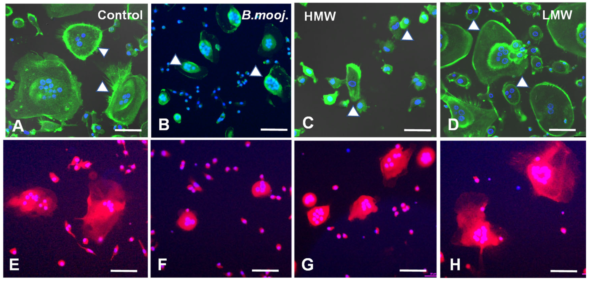 Toxins 17 00141 g001