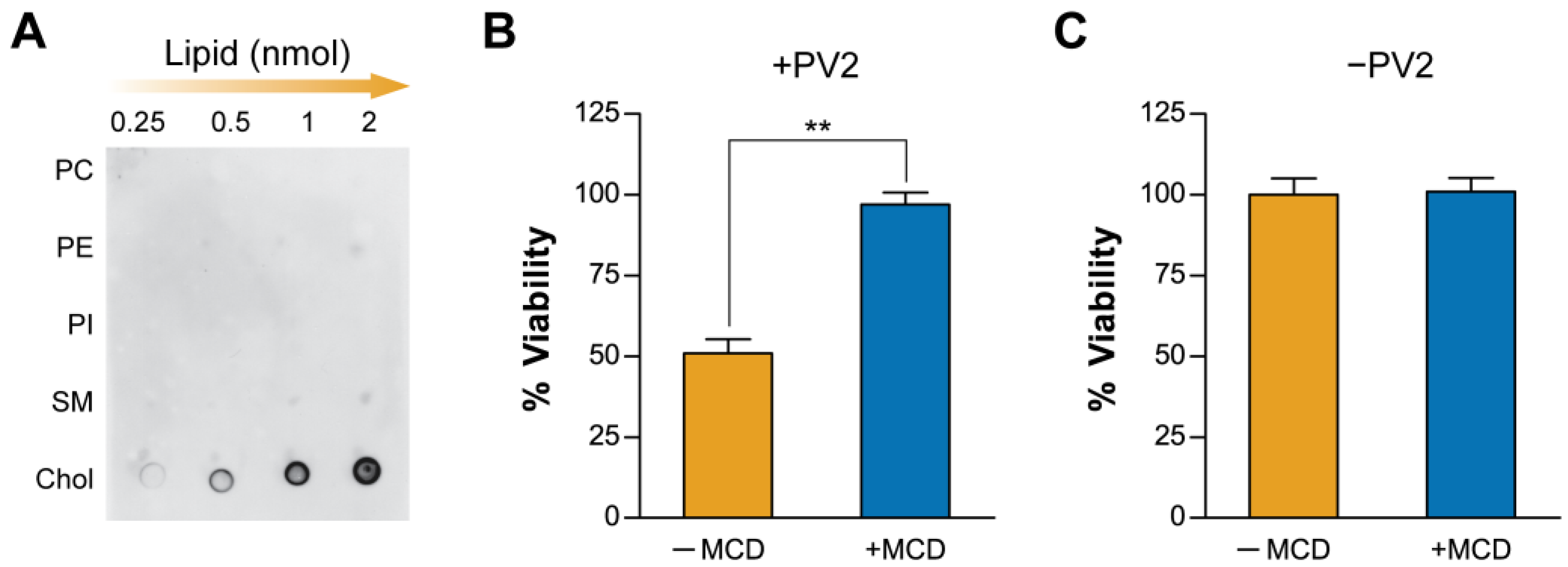 Toxins 17 00183 g001
