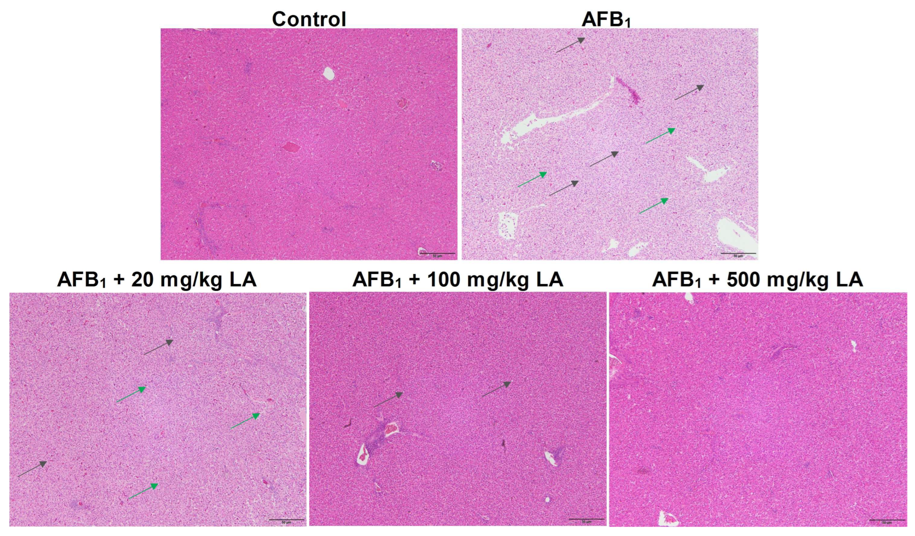Toxins 17 00184 g001