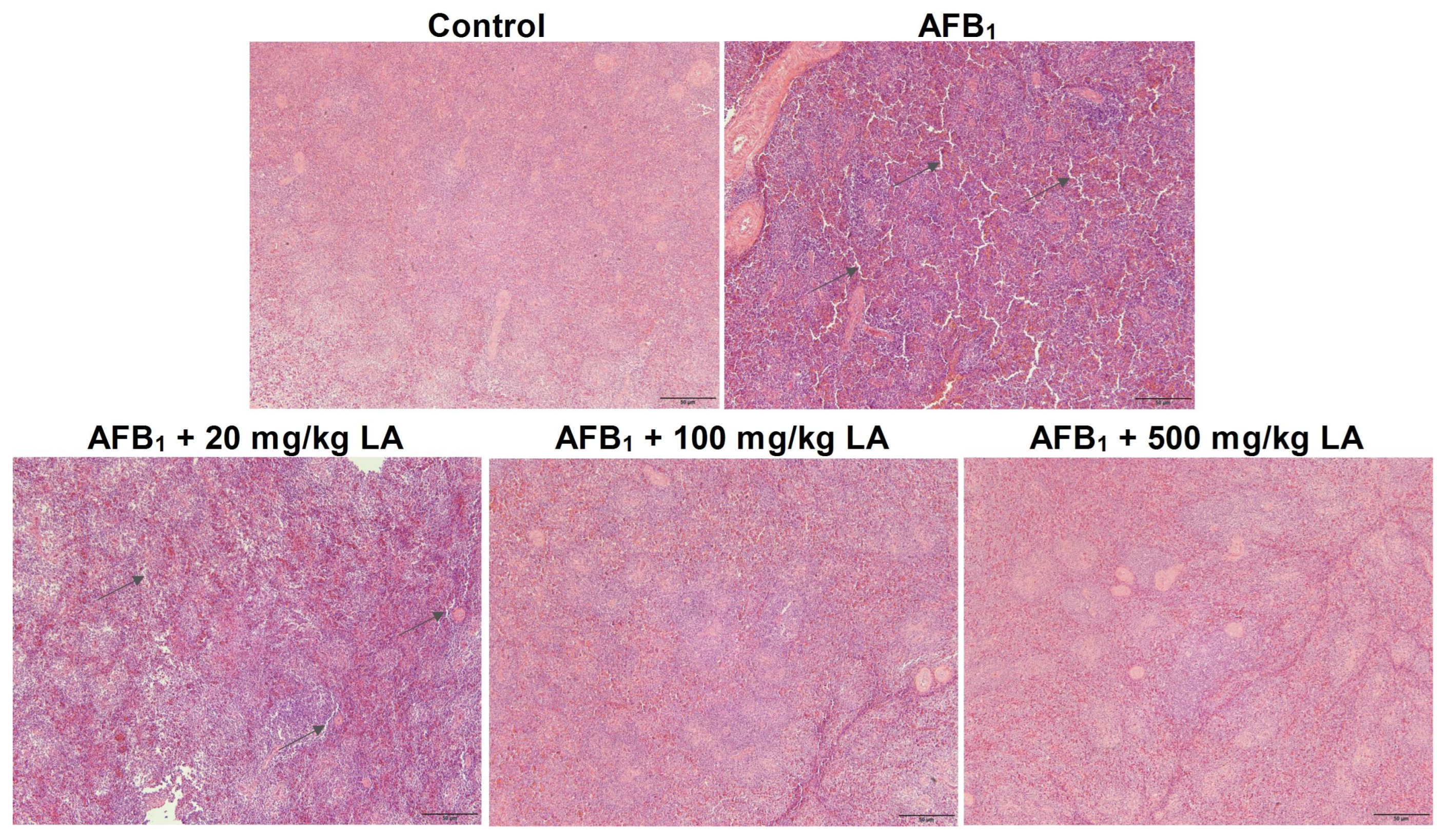 Toxins 17 00184 g004