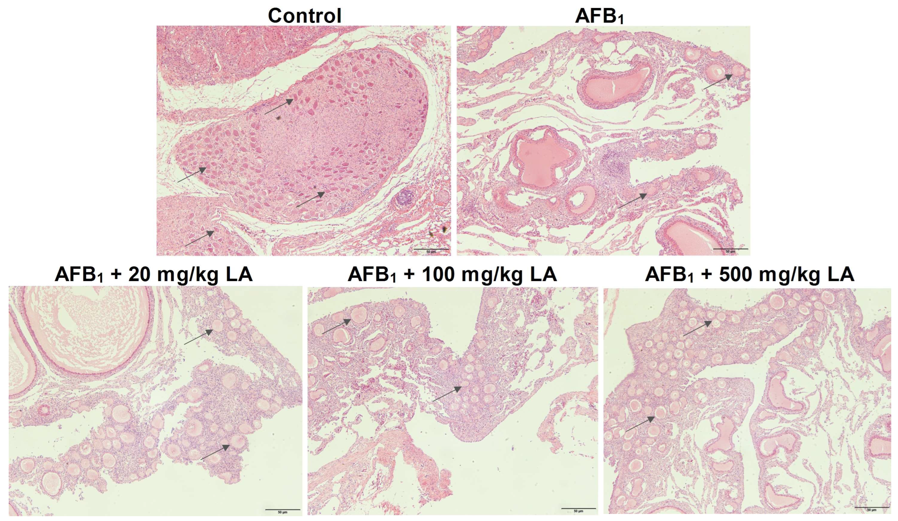 Toxins 17 00184 g005