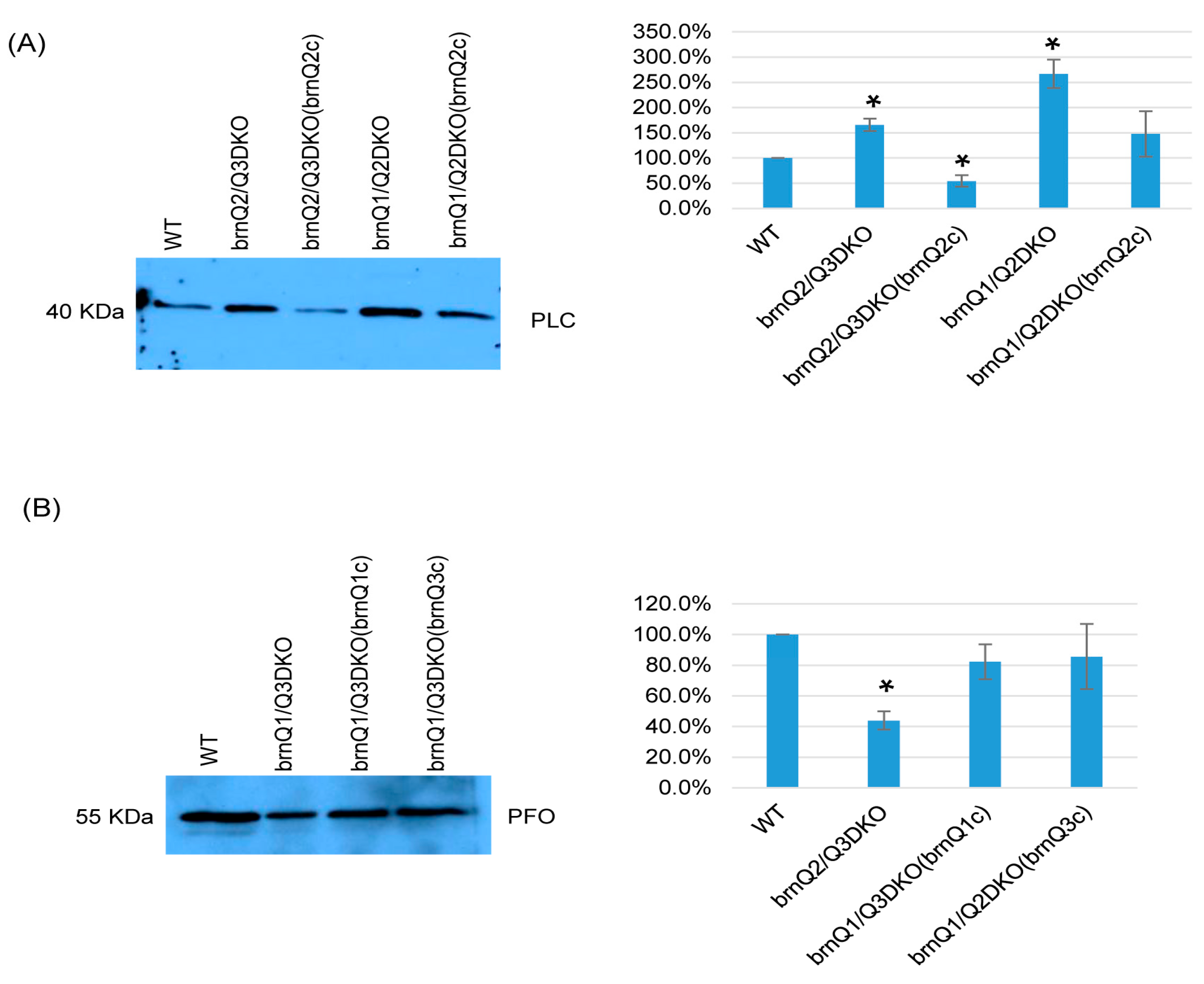 Toxins 17 00187 g007