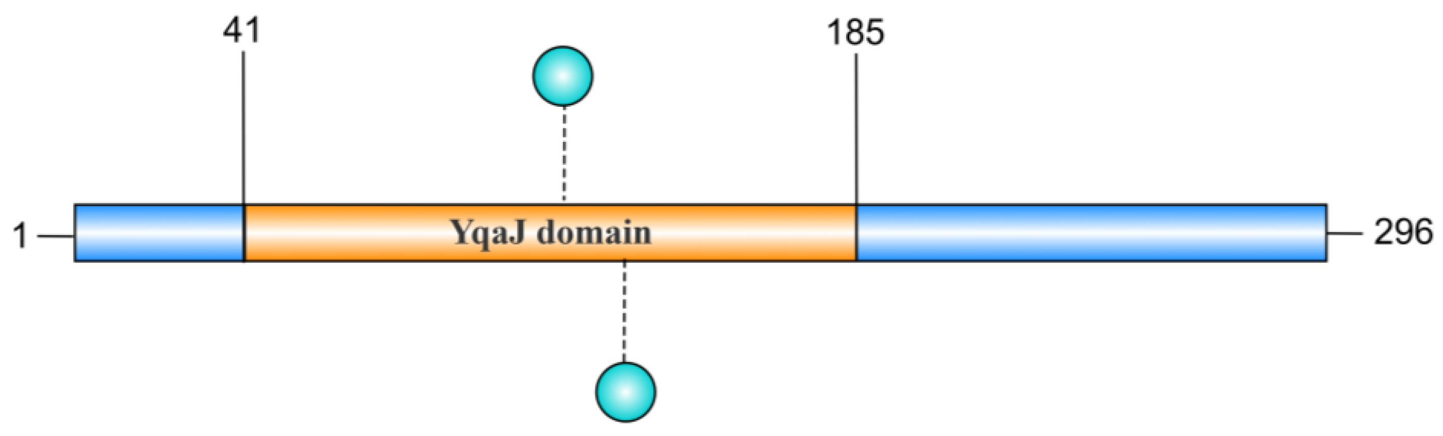 Toxins 17 00215 g004 Toxins 17 00215 g004