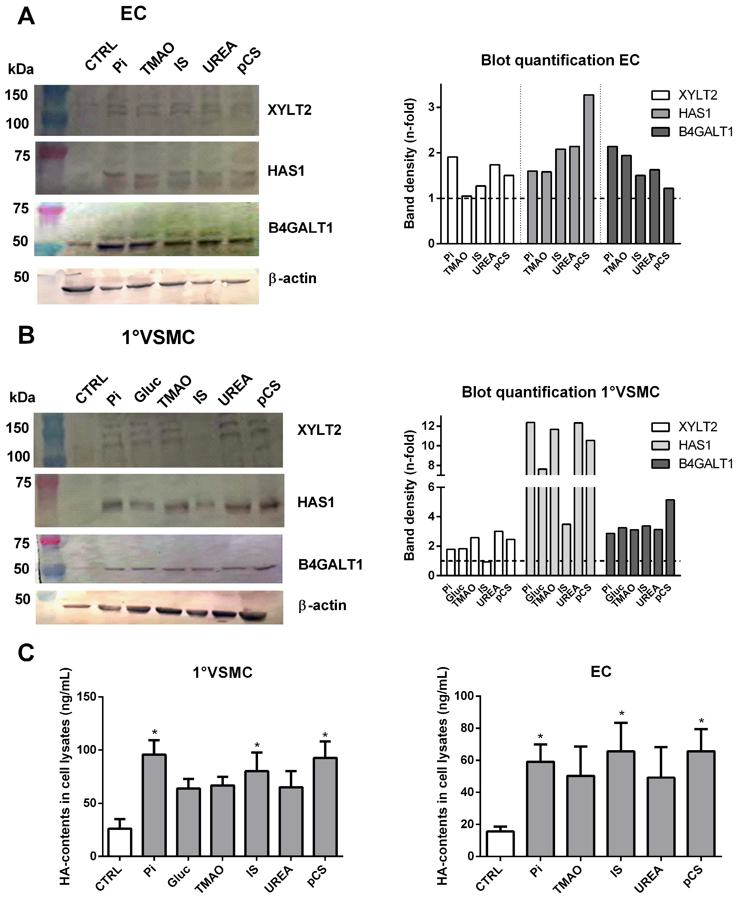 Toxins 17 00217 g006