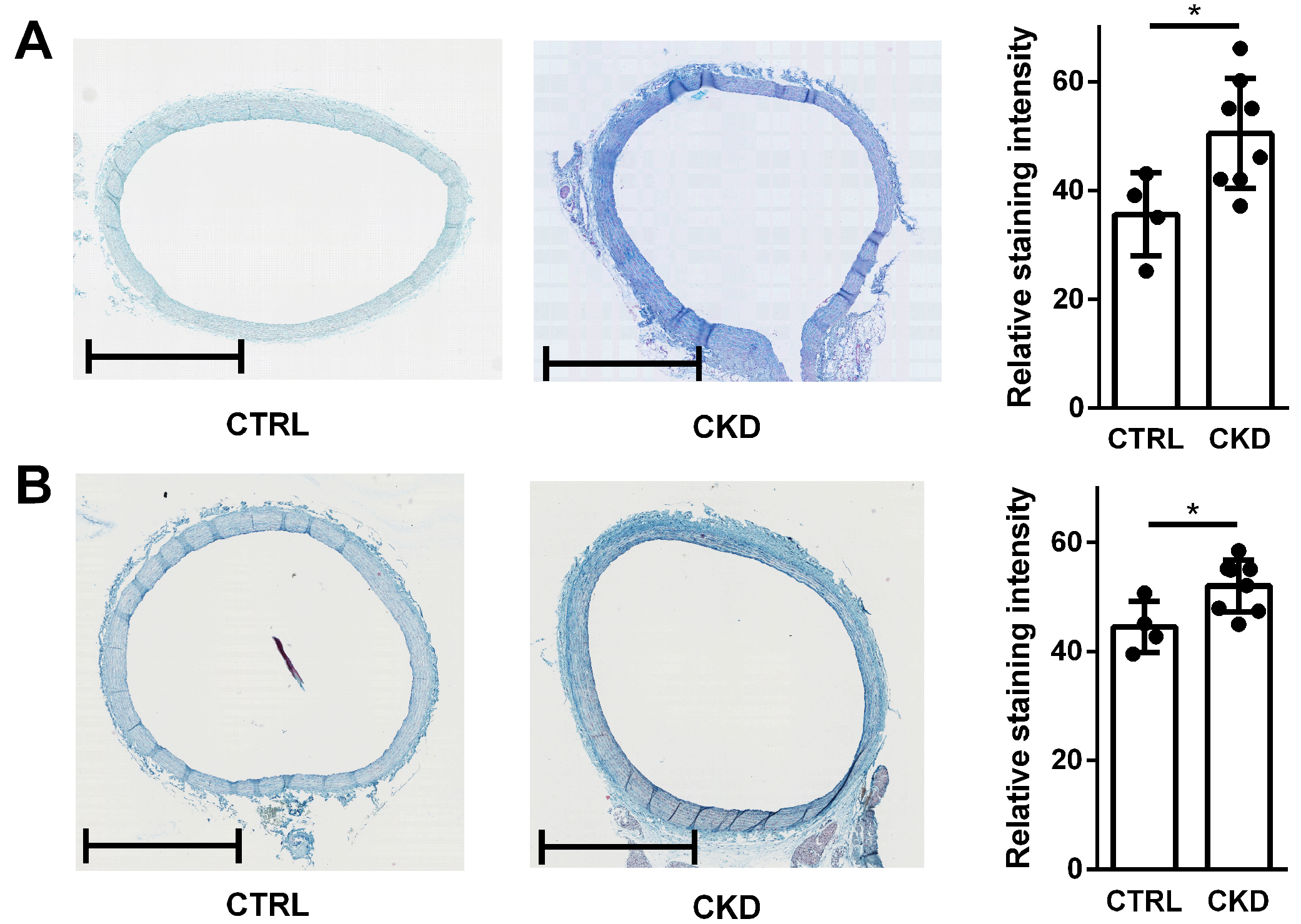 Toxins 17 00217 g009