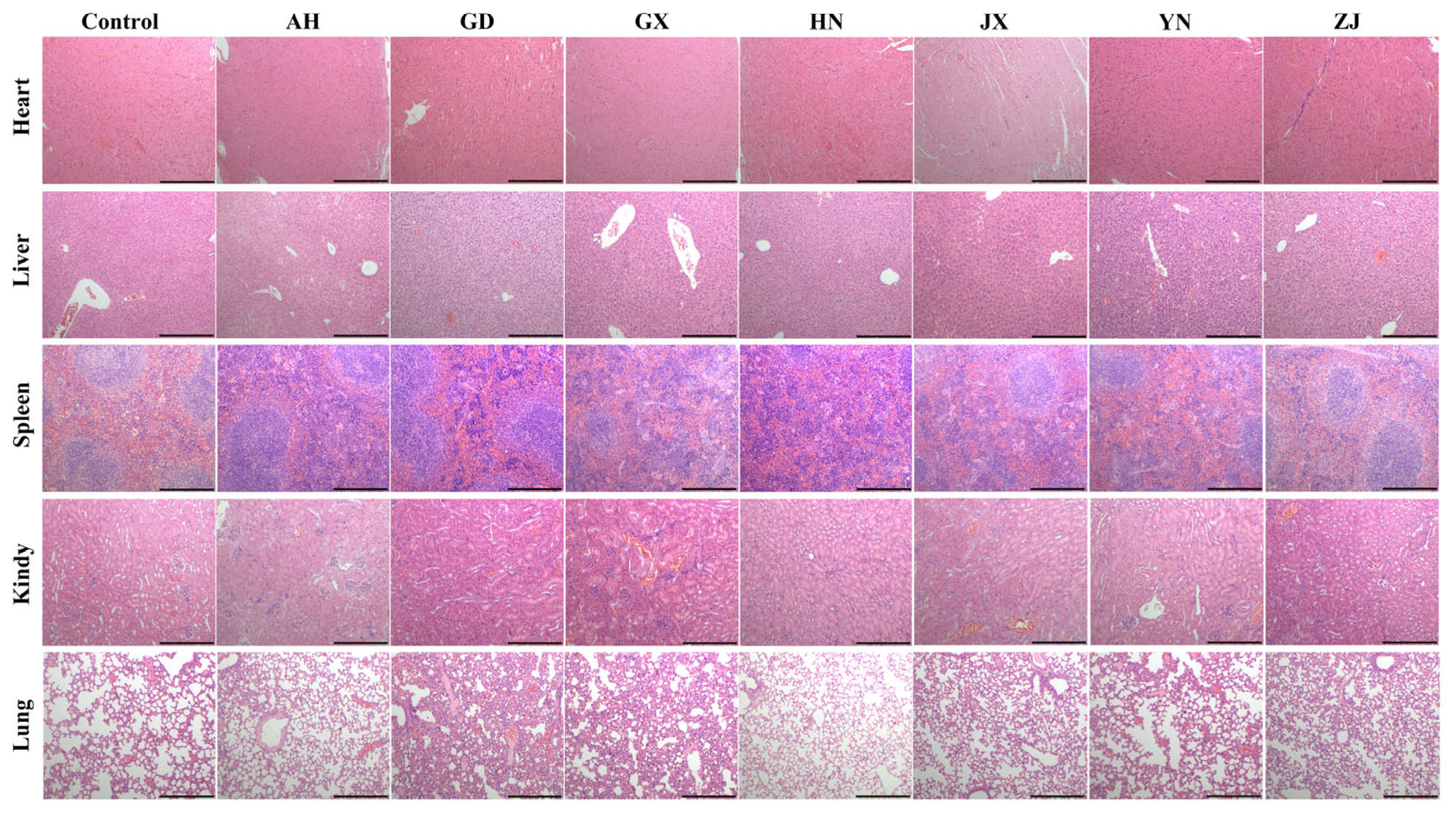 Toxins 17 00404 g002 Toxins 17 00404 g002