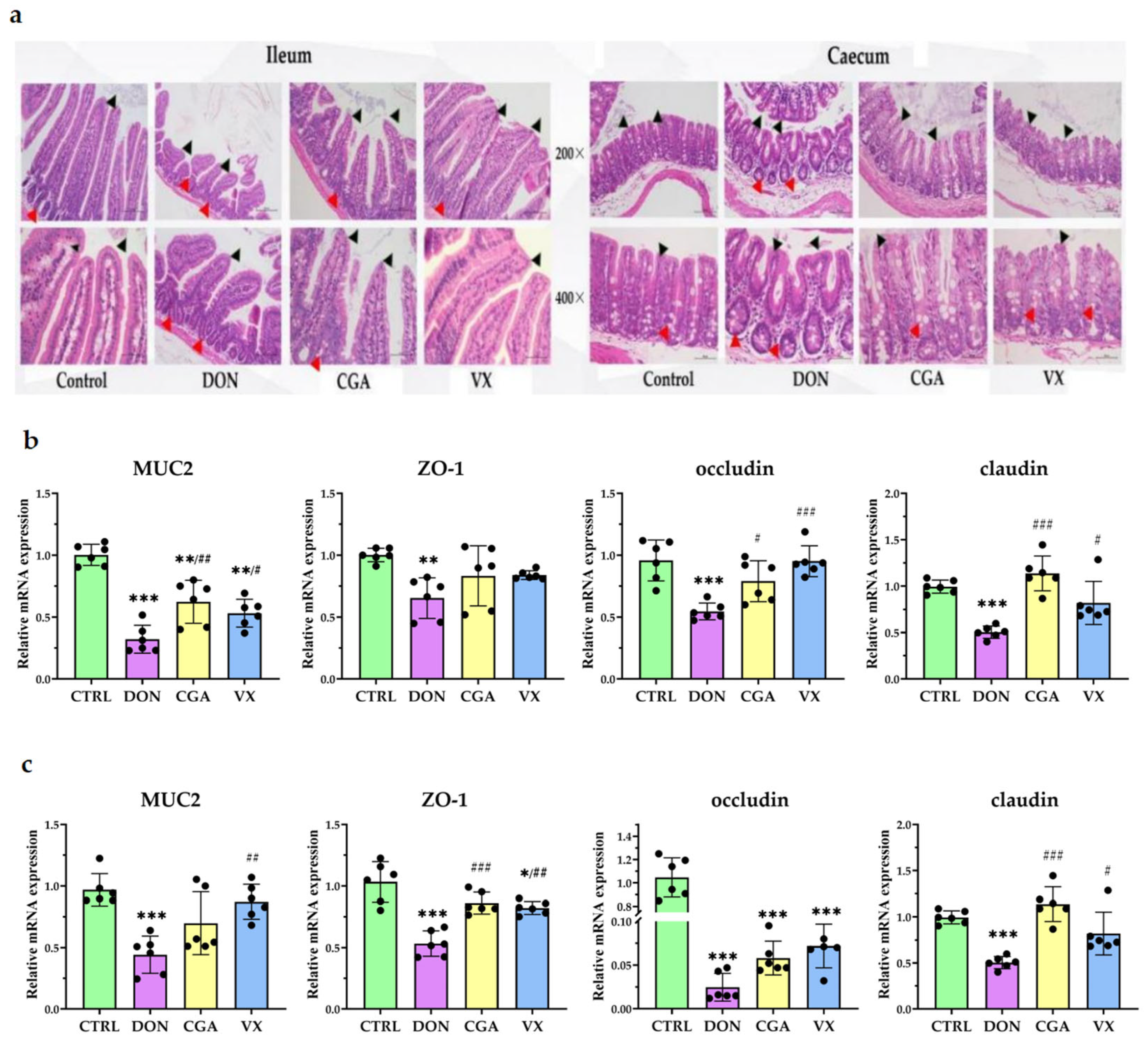 Toxins 17 00467 g001 Toxins 17 00467 g001