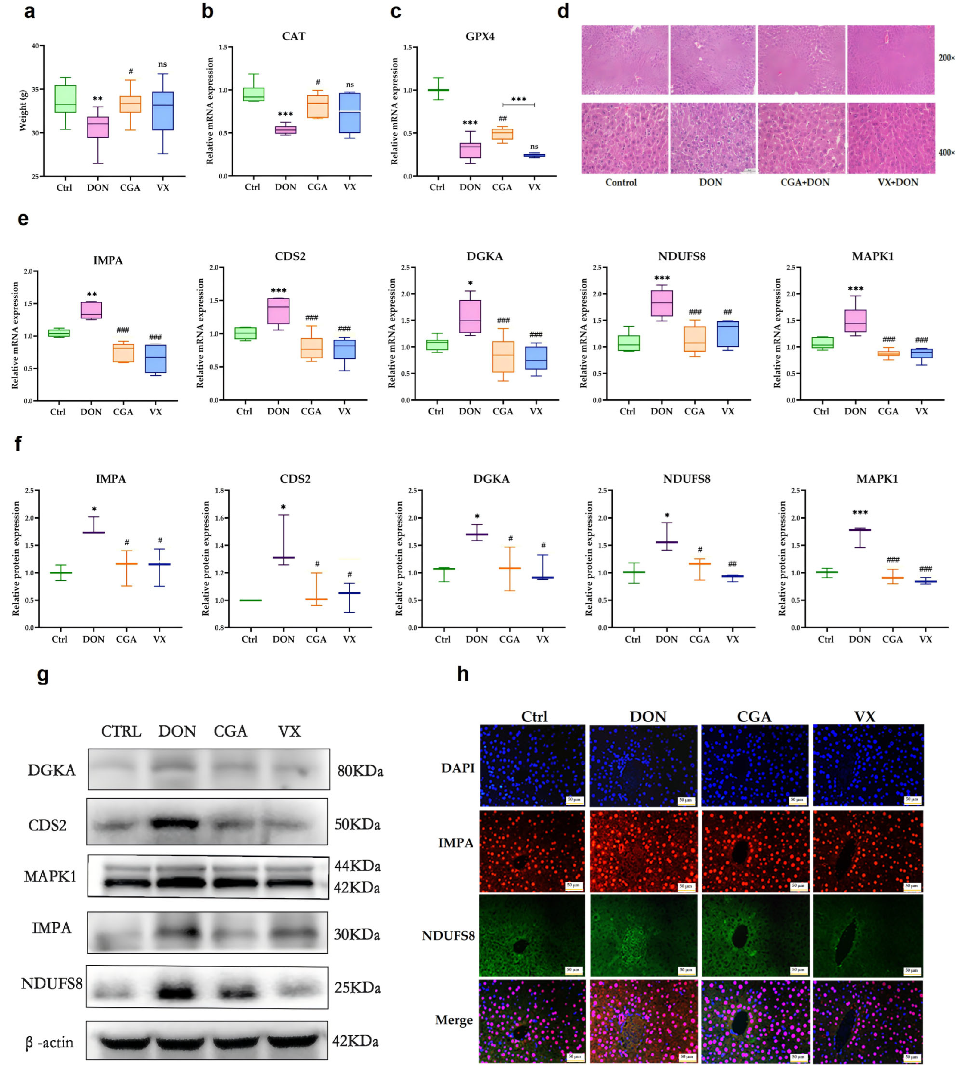 Toxins 17 00467 g008 Toxins 17 00467 g008