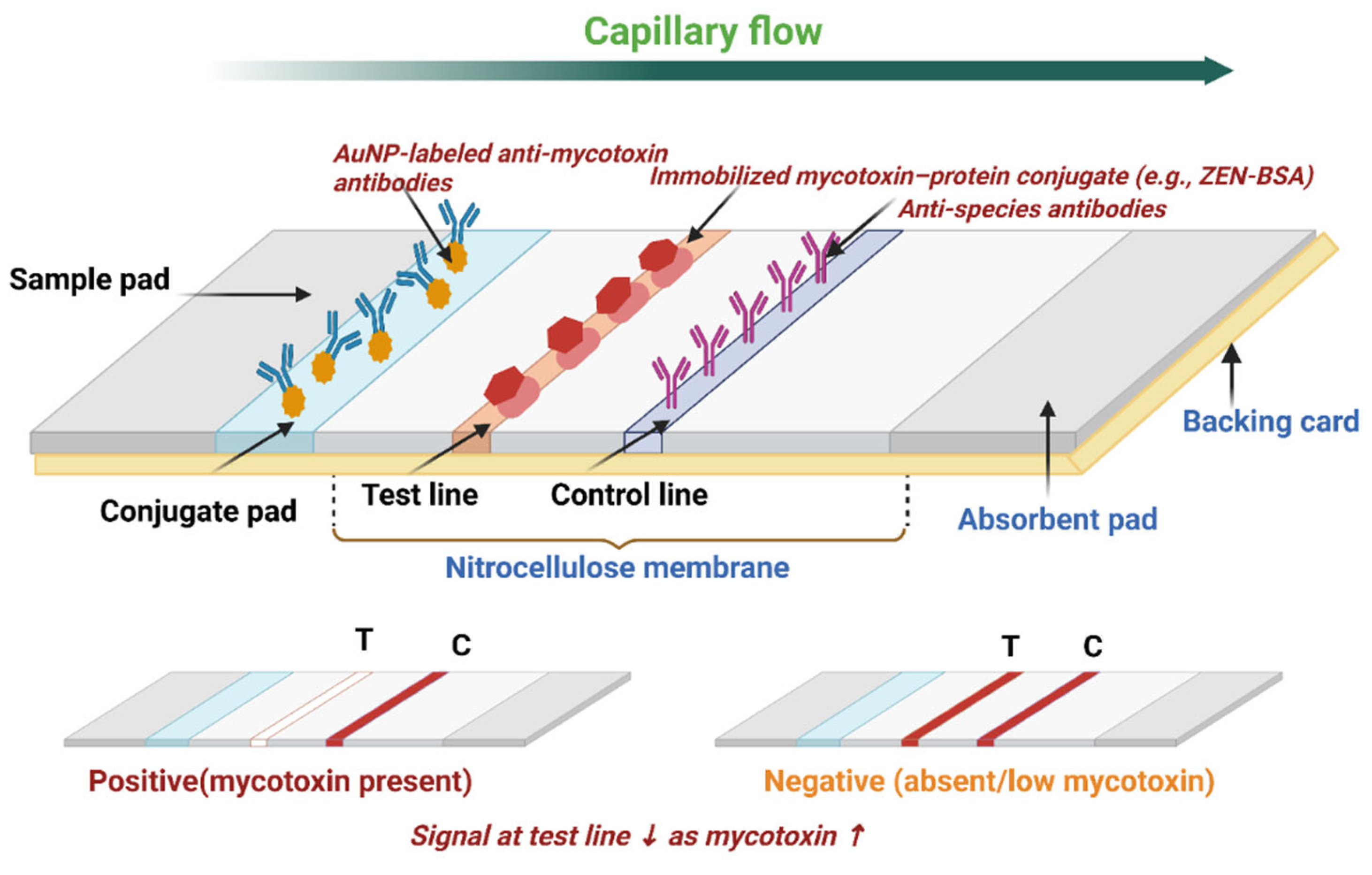 Toxins 17 00505 g001 Toxins 17 00505 g001