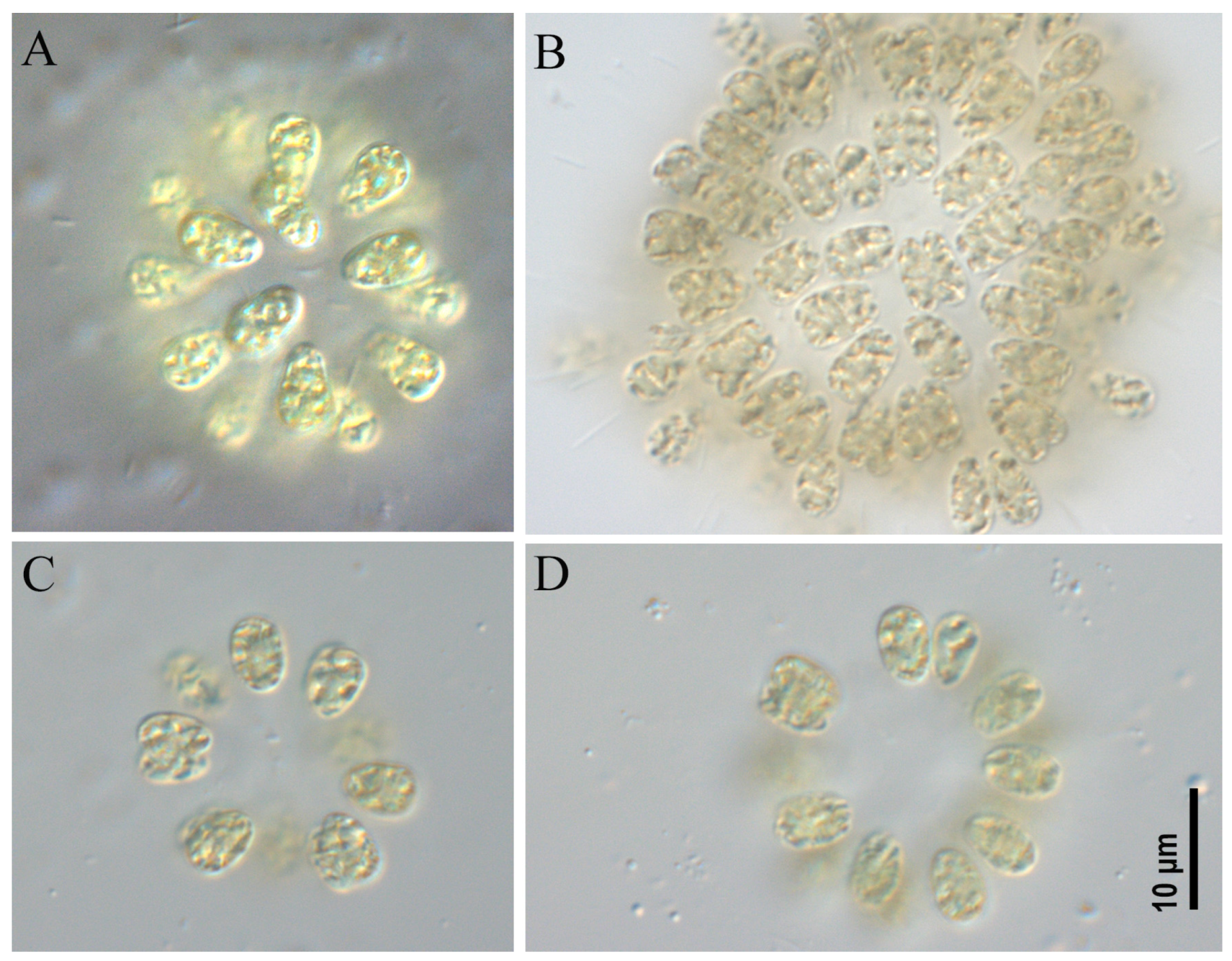 Toxins 17 00506 g004 Toxins 17 00506 g004