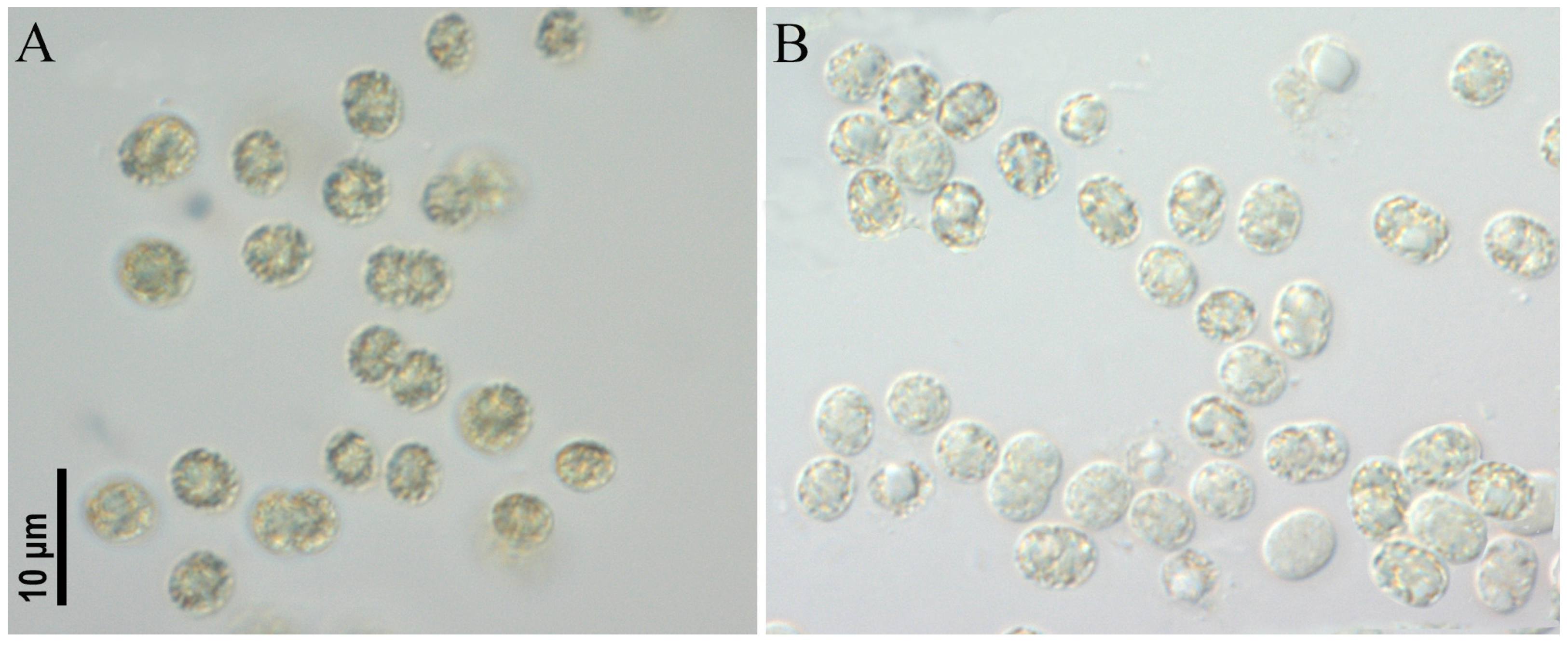 Toxins 17 00506 g006 Toxins 17 00506 g006