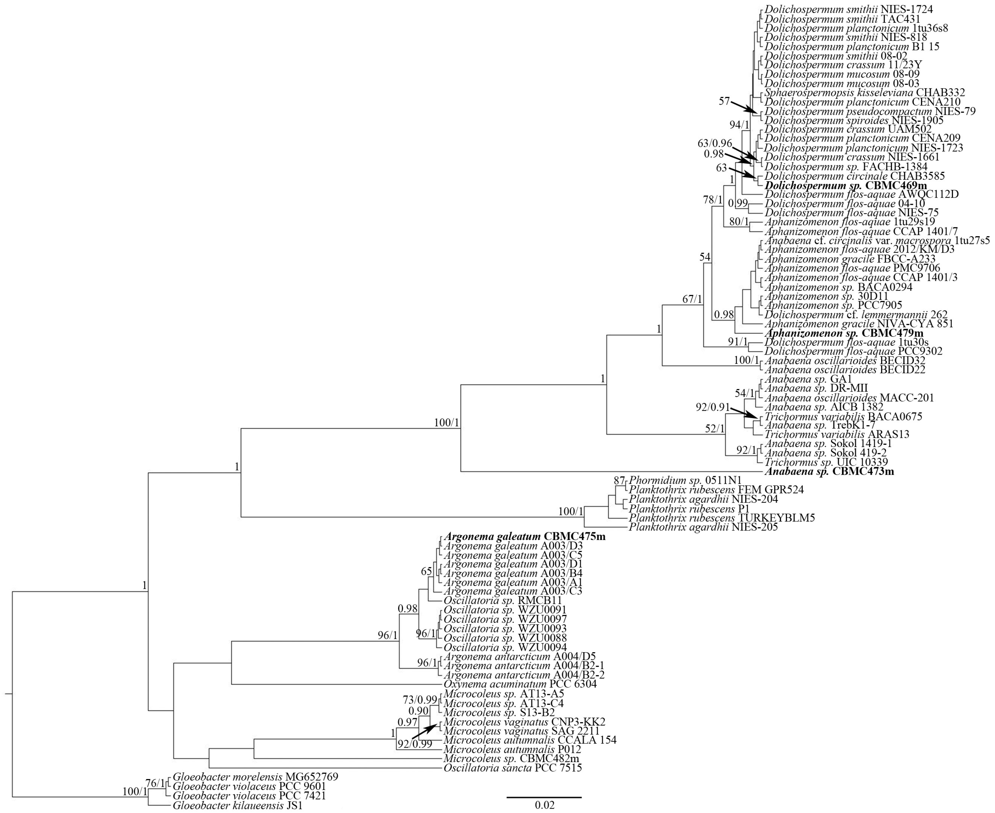 Toxins 17 00506 g008 Toxins 17 00506 g008