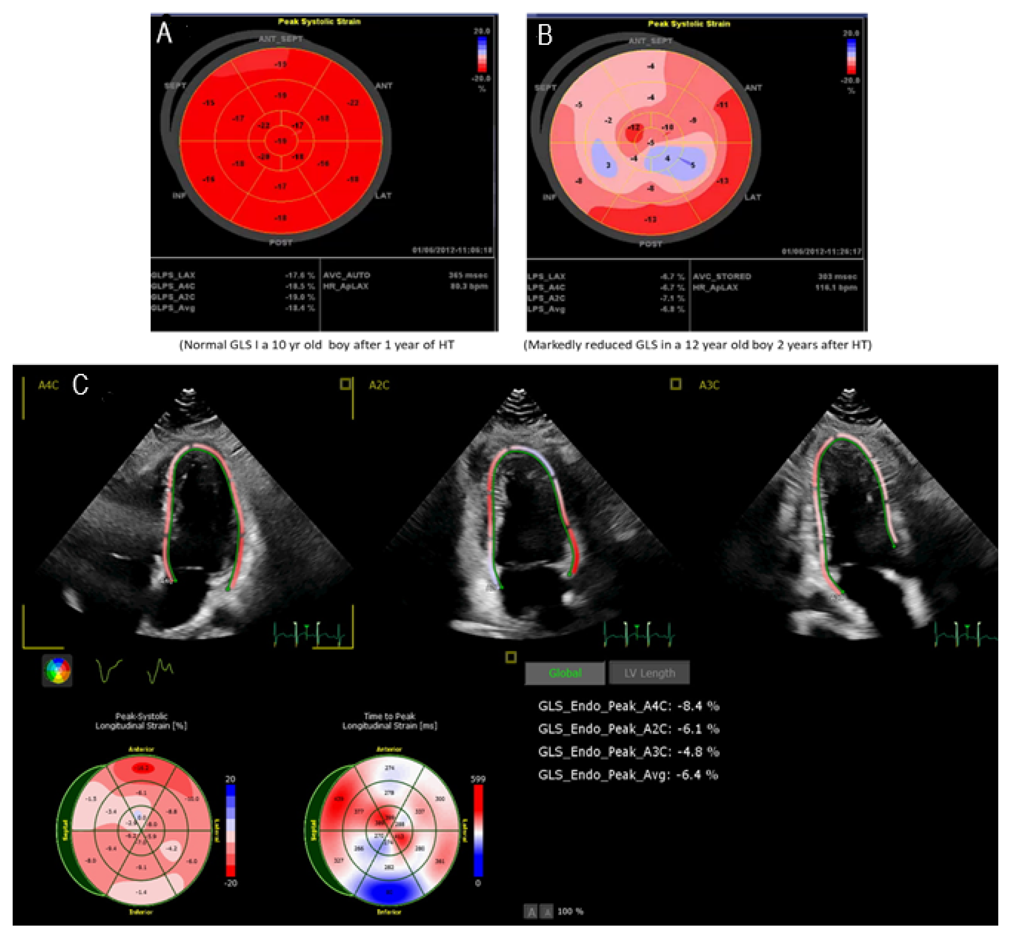 Transplantology 03 00025 g003 Transplantology 03 00025 g003