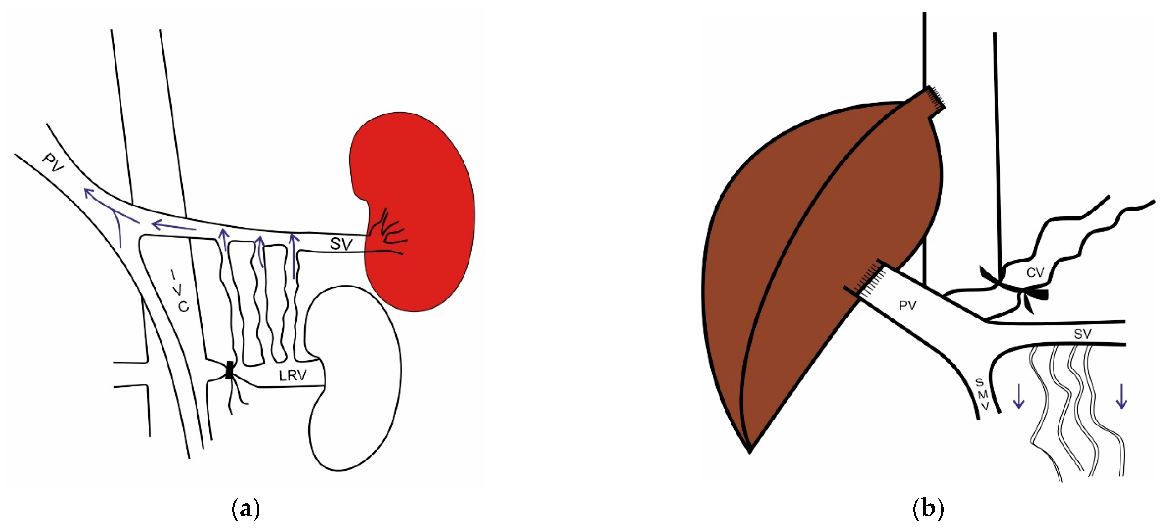 Transplantology 04 00006 g005 Transplantology 04 00006 g005
