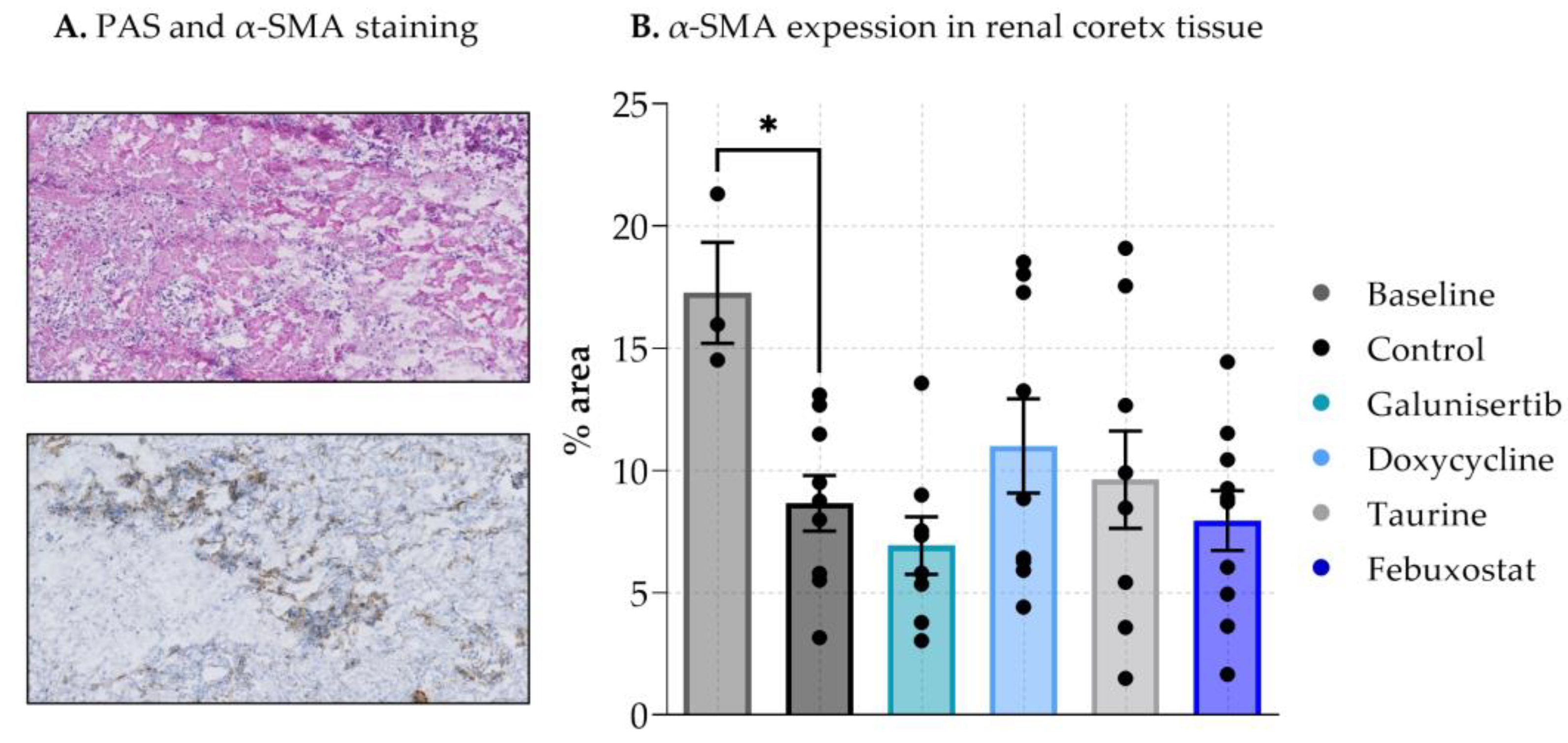 Transplantology 04 00007 g003 Transplantology 04 00007 g003