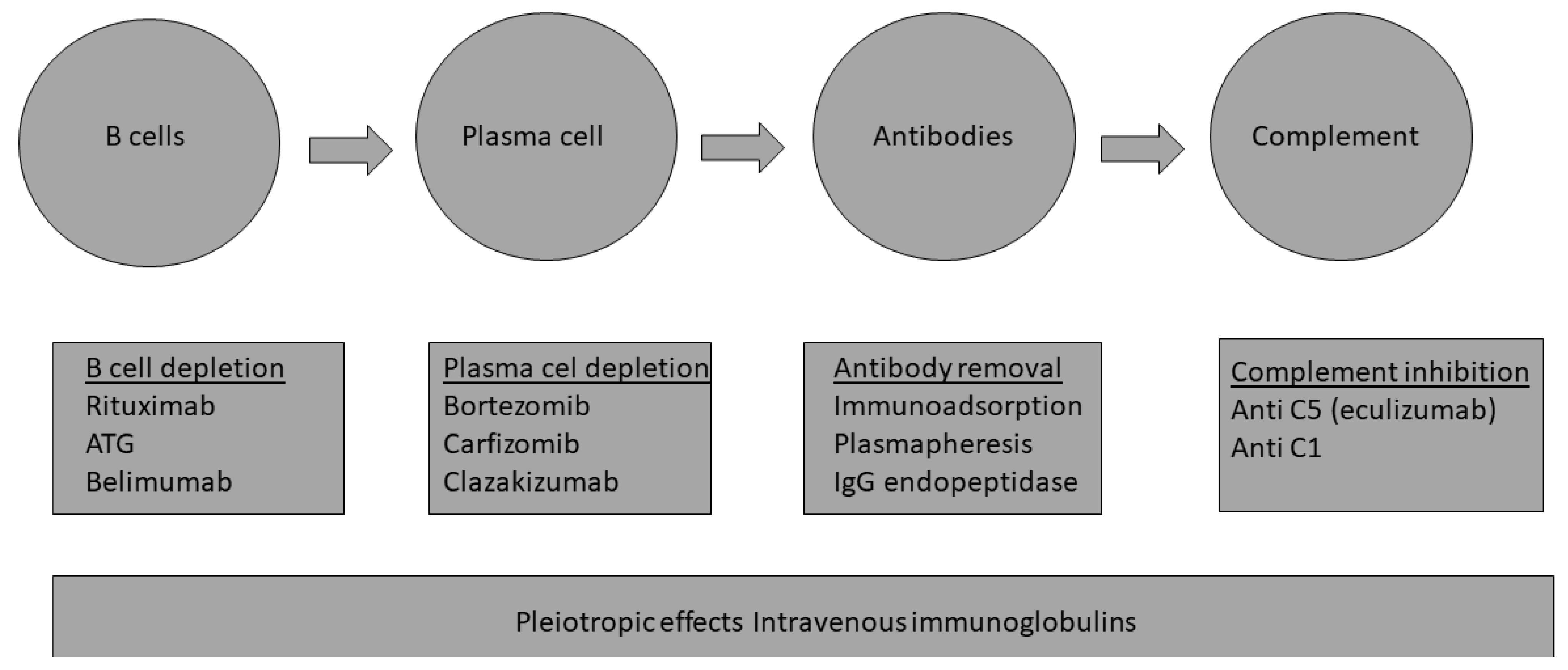 Transplantology 04 00009 g001 Transplantology 04 00009 g001