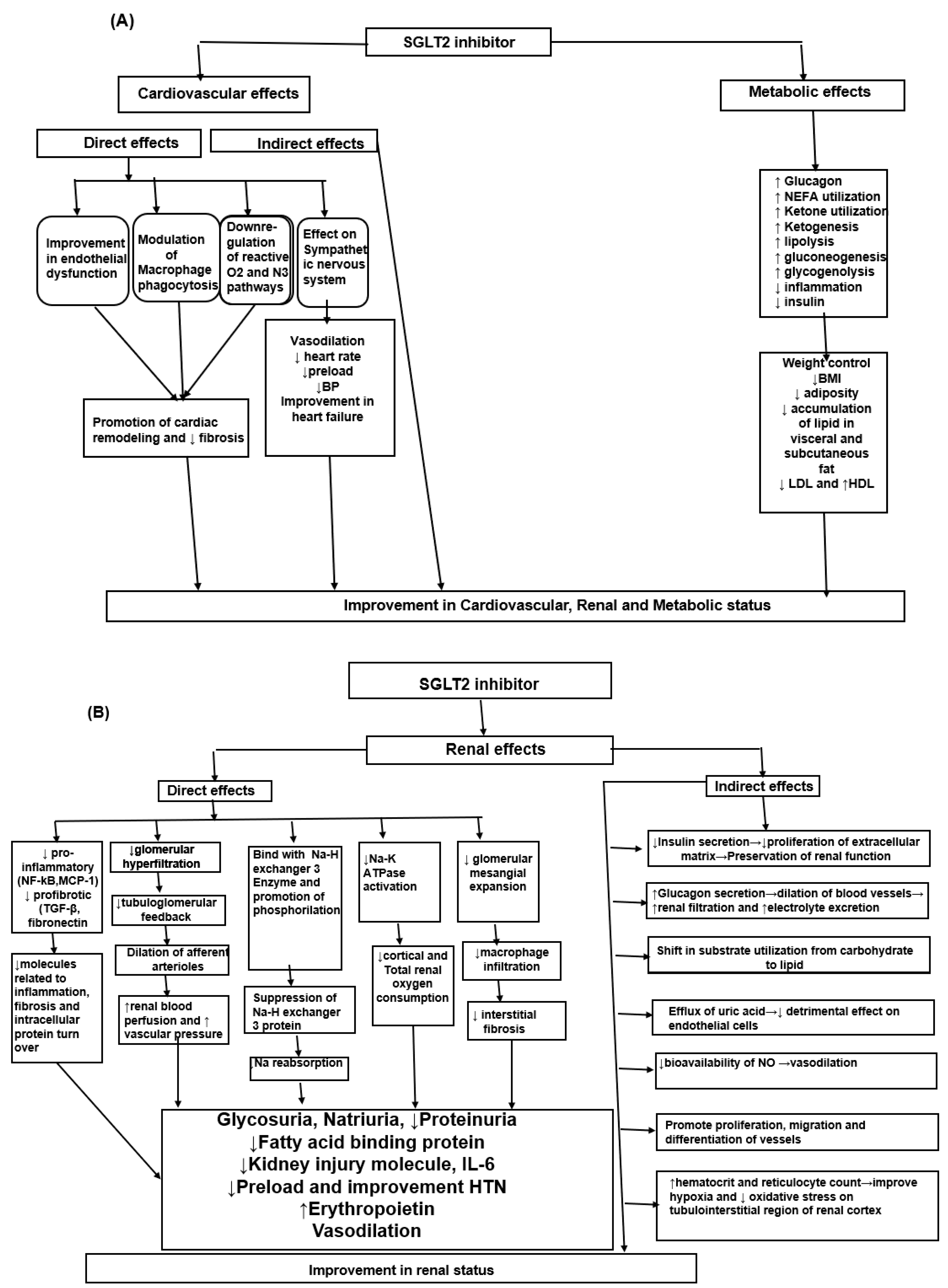 Transplantology 05 00022 g001