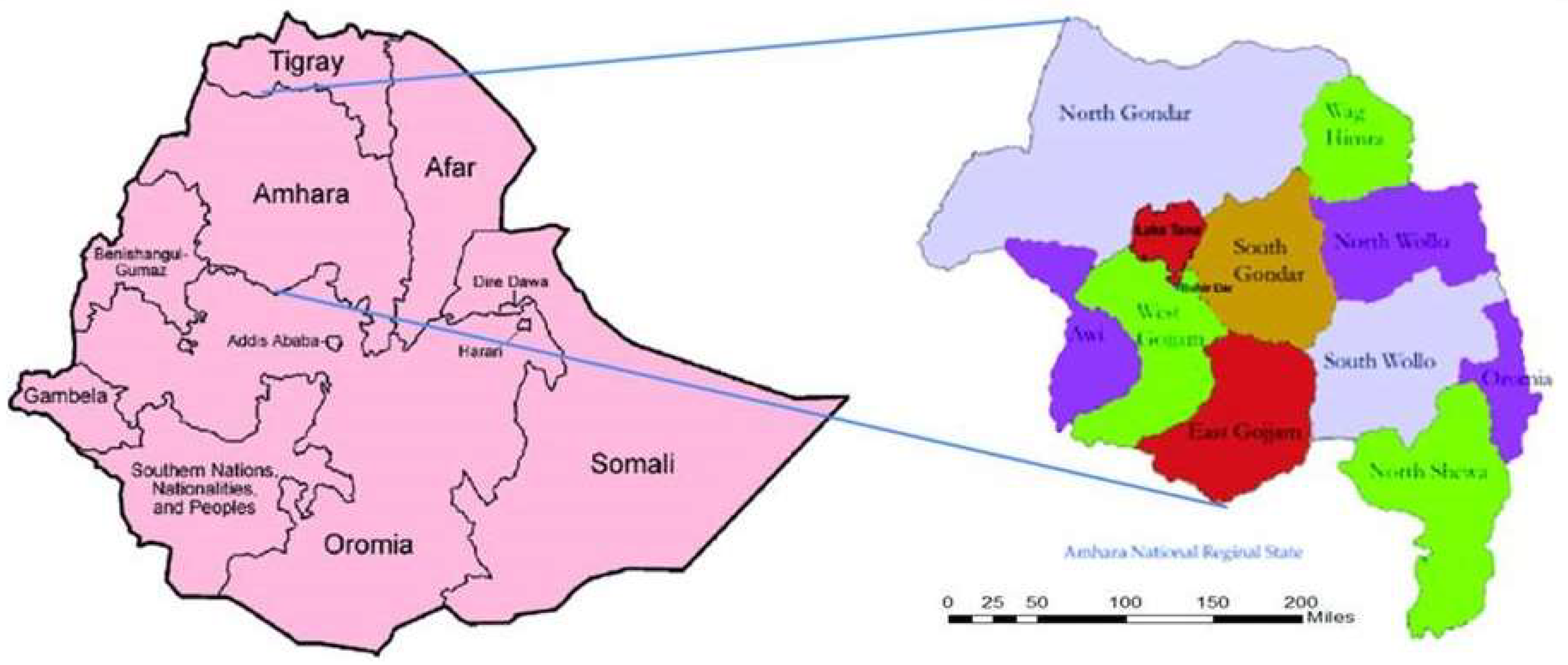 Map Of Amhara Region By Woreda Tropicalmed | Free Full-Text | Investigation Of A Scabies Outbreak In  Drought-Affected Areas In Ethiopia | Html