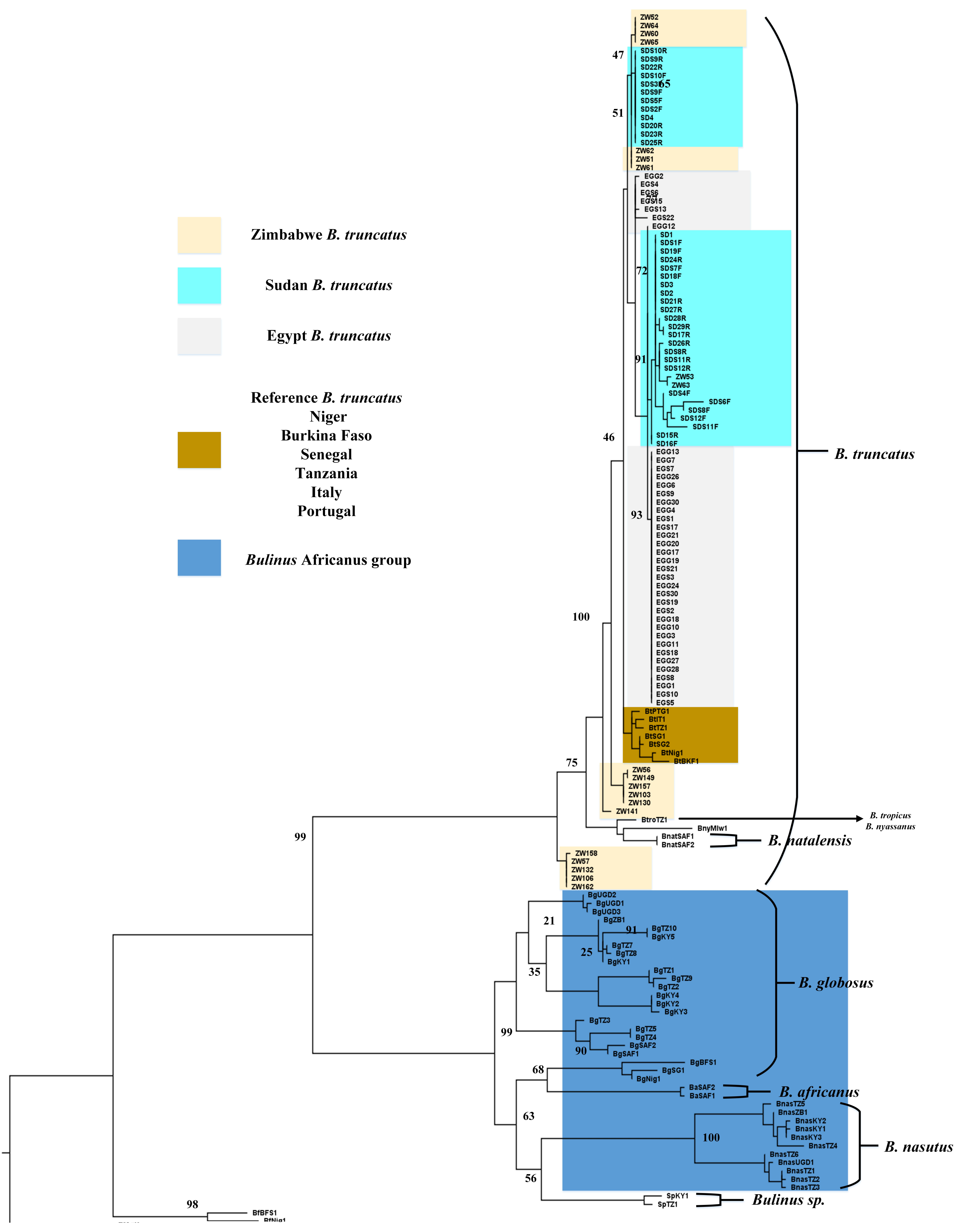 Tropicalmed 03 00127 g002 Tropicalmed 03 00127 g002