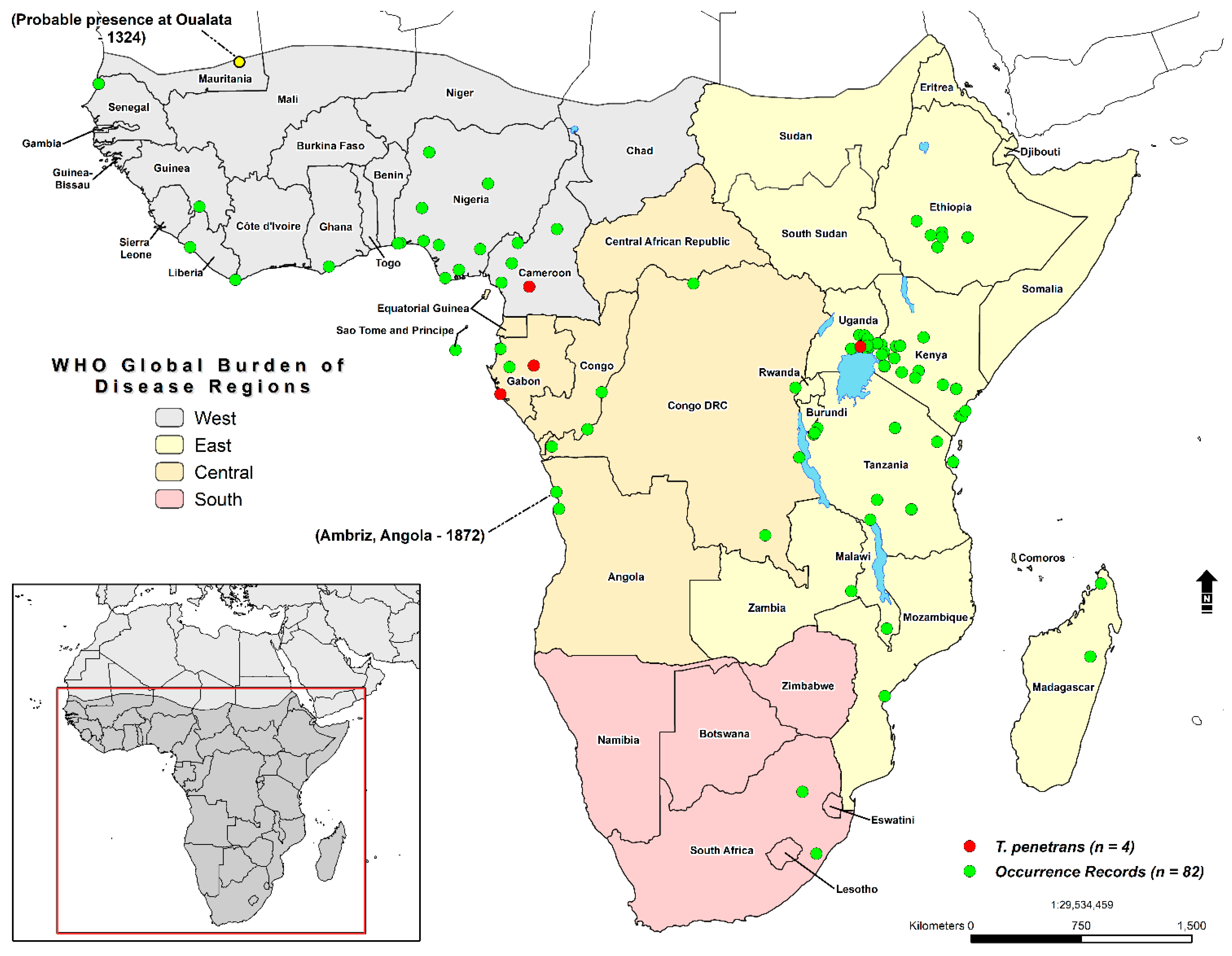 TropicalMed | Free Full-Text | Mapping the Geographic Distribution of  Tungiasis in Sub-Saharan Africa