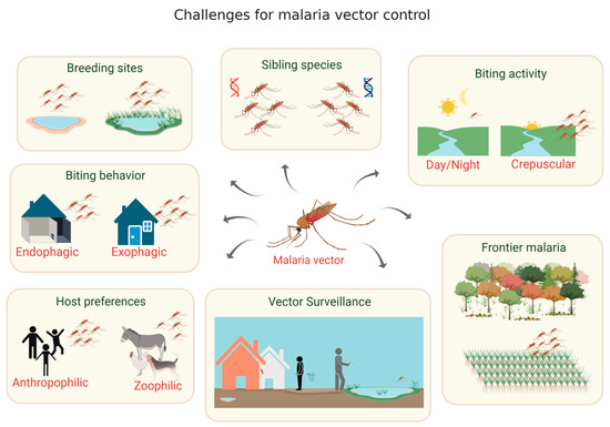TropicalMed | Free Full-Text | Vector-Focused Approaches to Curb Malaria  Transmission in the Brazilian Amazon: An Overview of Current and Future  Challenges and Strategies | HTML