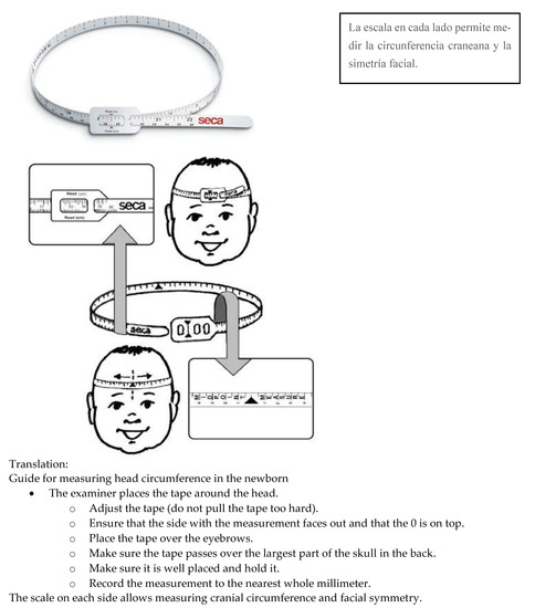 SECA Measuring Tape for Head Circumference - Baby / Infant