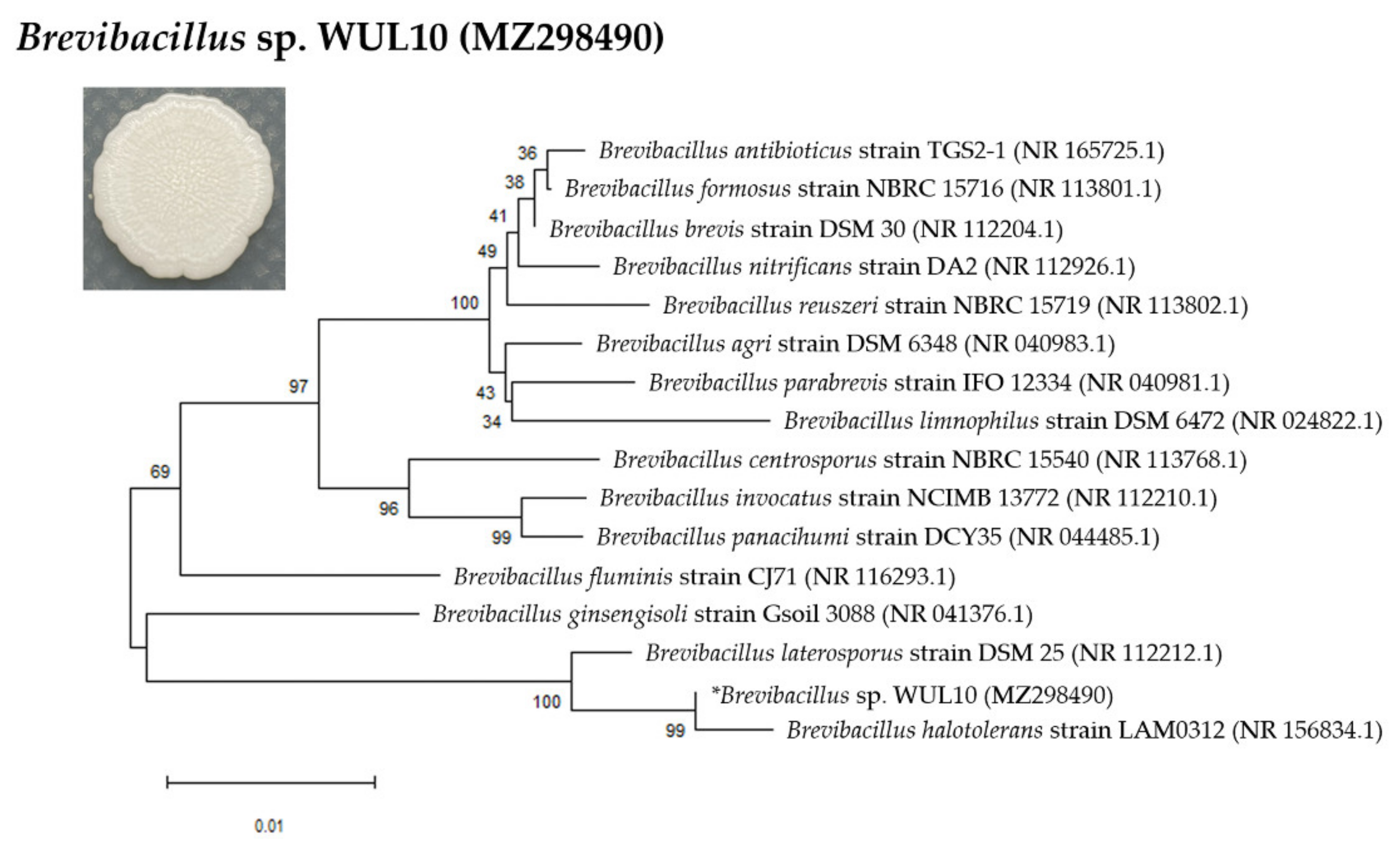 Tropicalmed 07 00093 g002