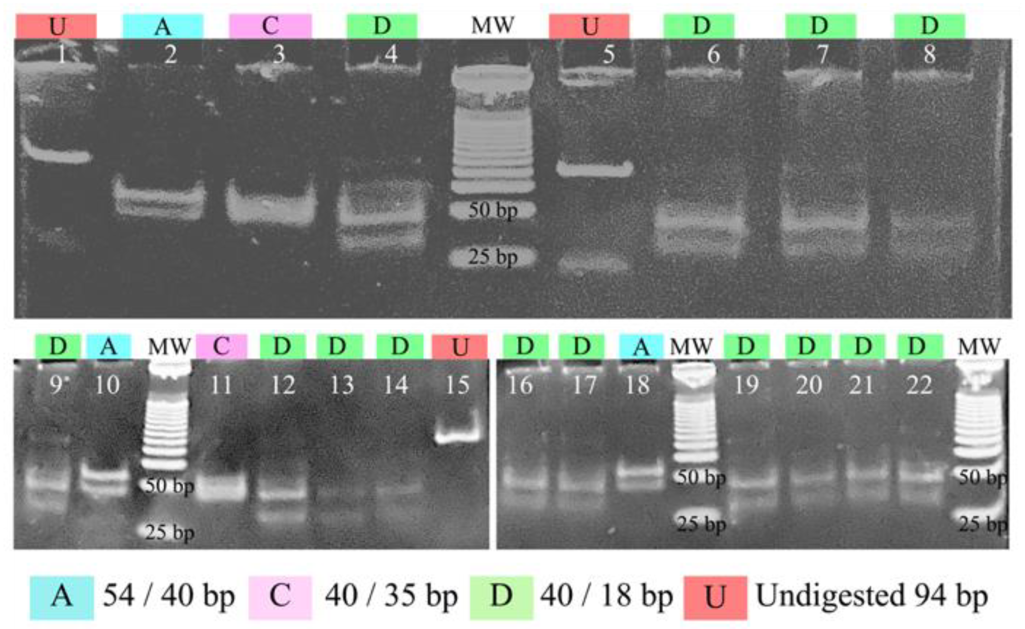 Tropicalmed 07 00149 g005