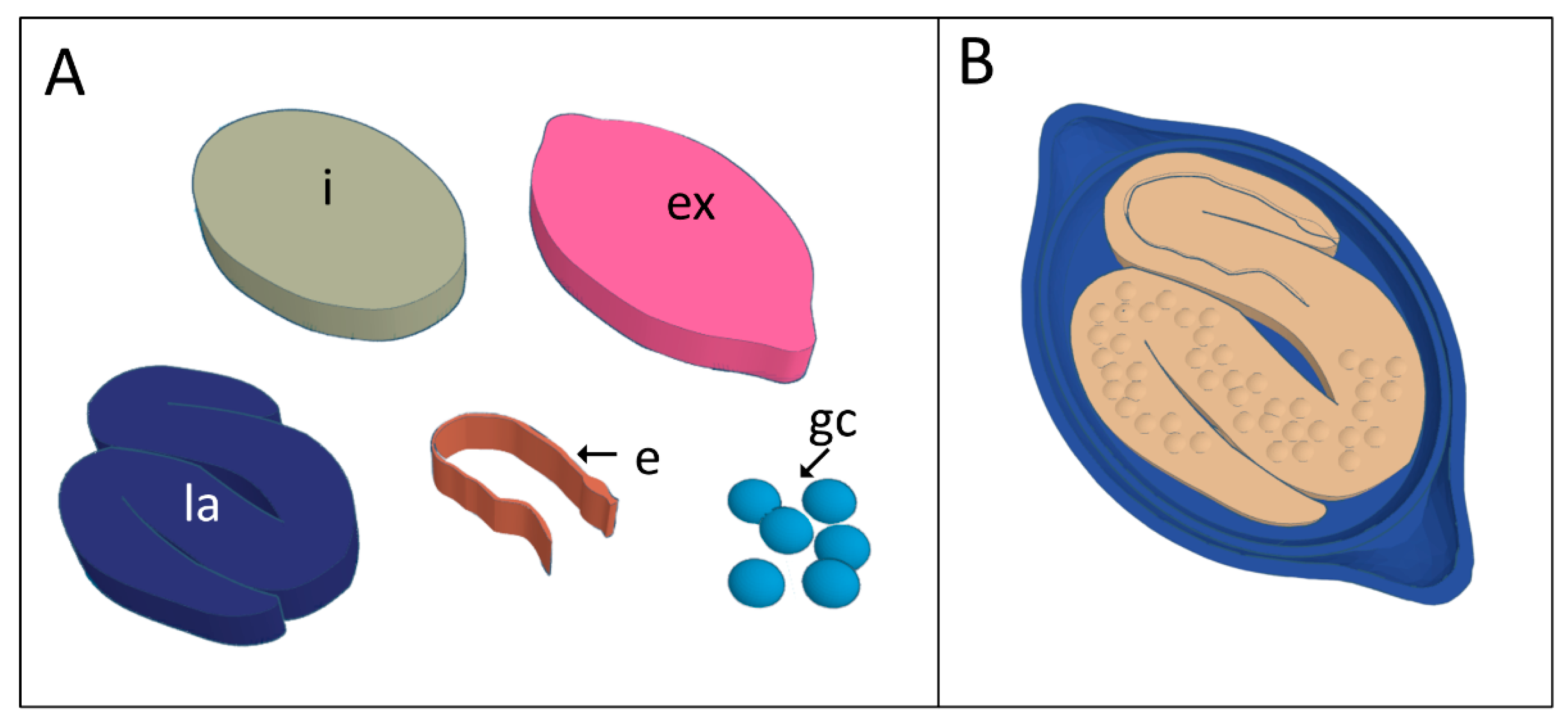 Tropicalmed 07 00216 g002 Tropicalmed 07 00216 g002